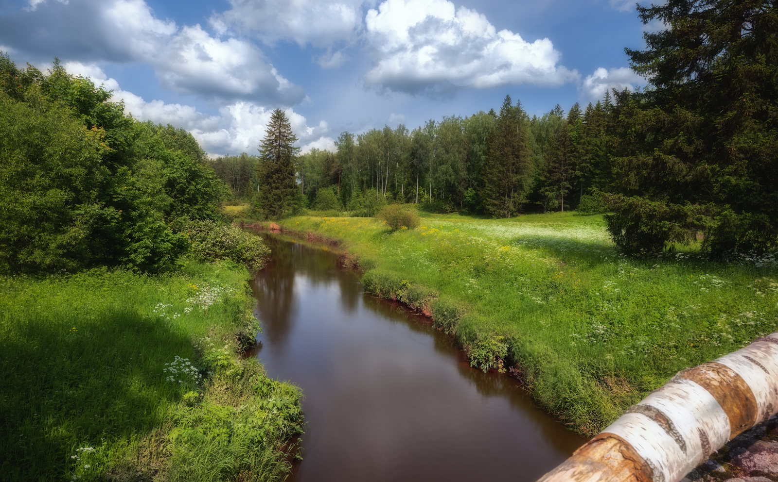 , Константин Скороходов