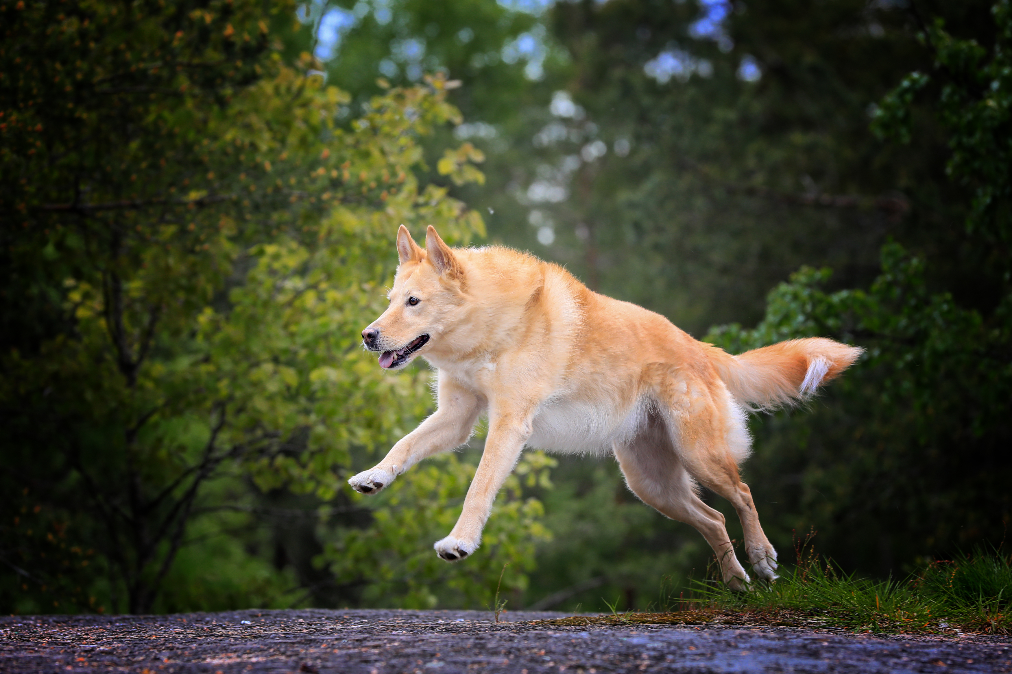 , Андрей Ершов