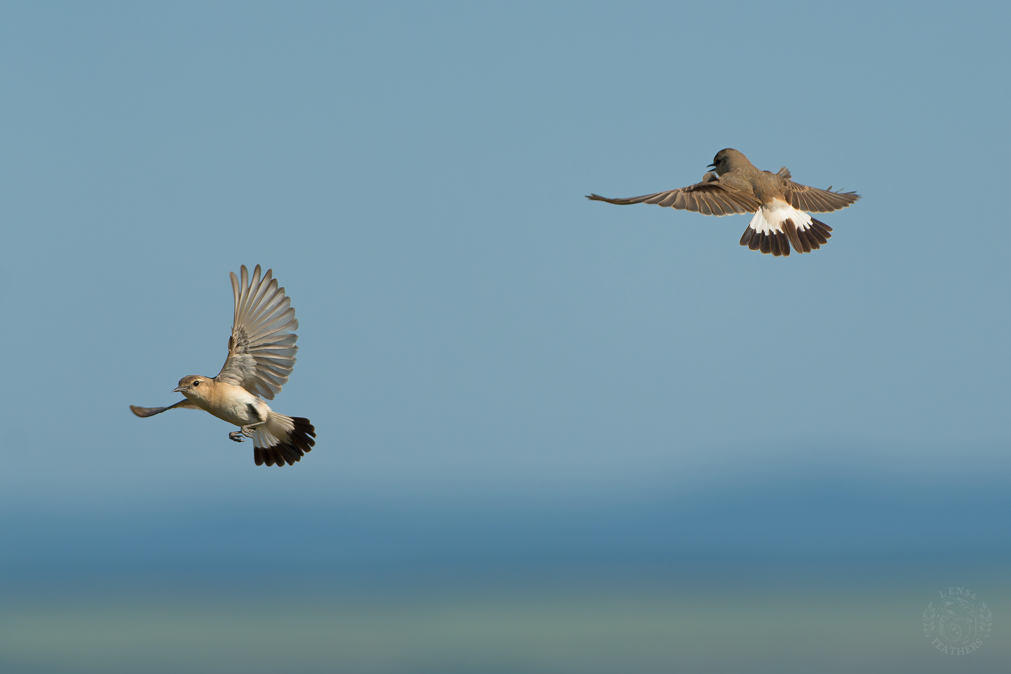 , Евгени Стефанов