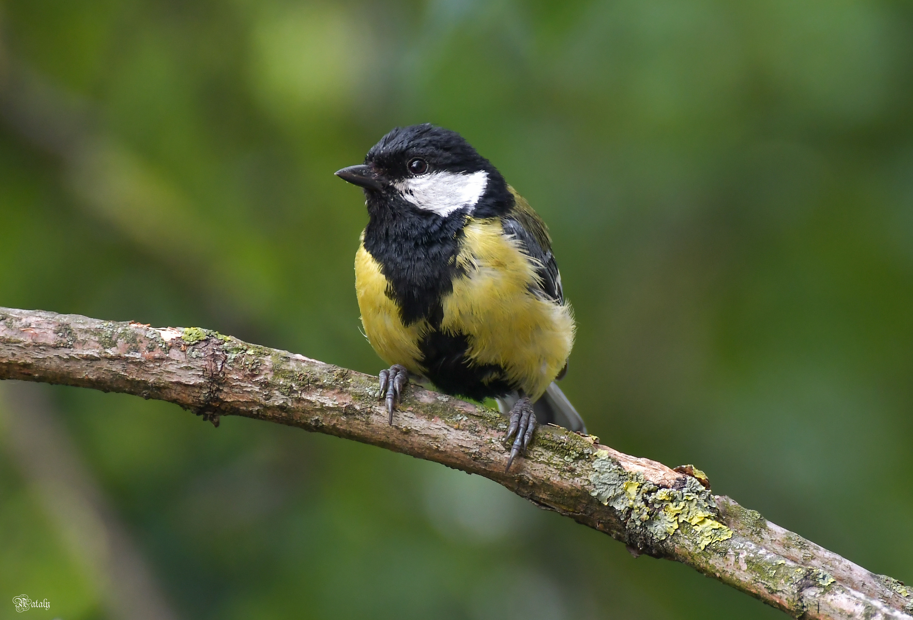 , Наталья Екимова