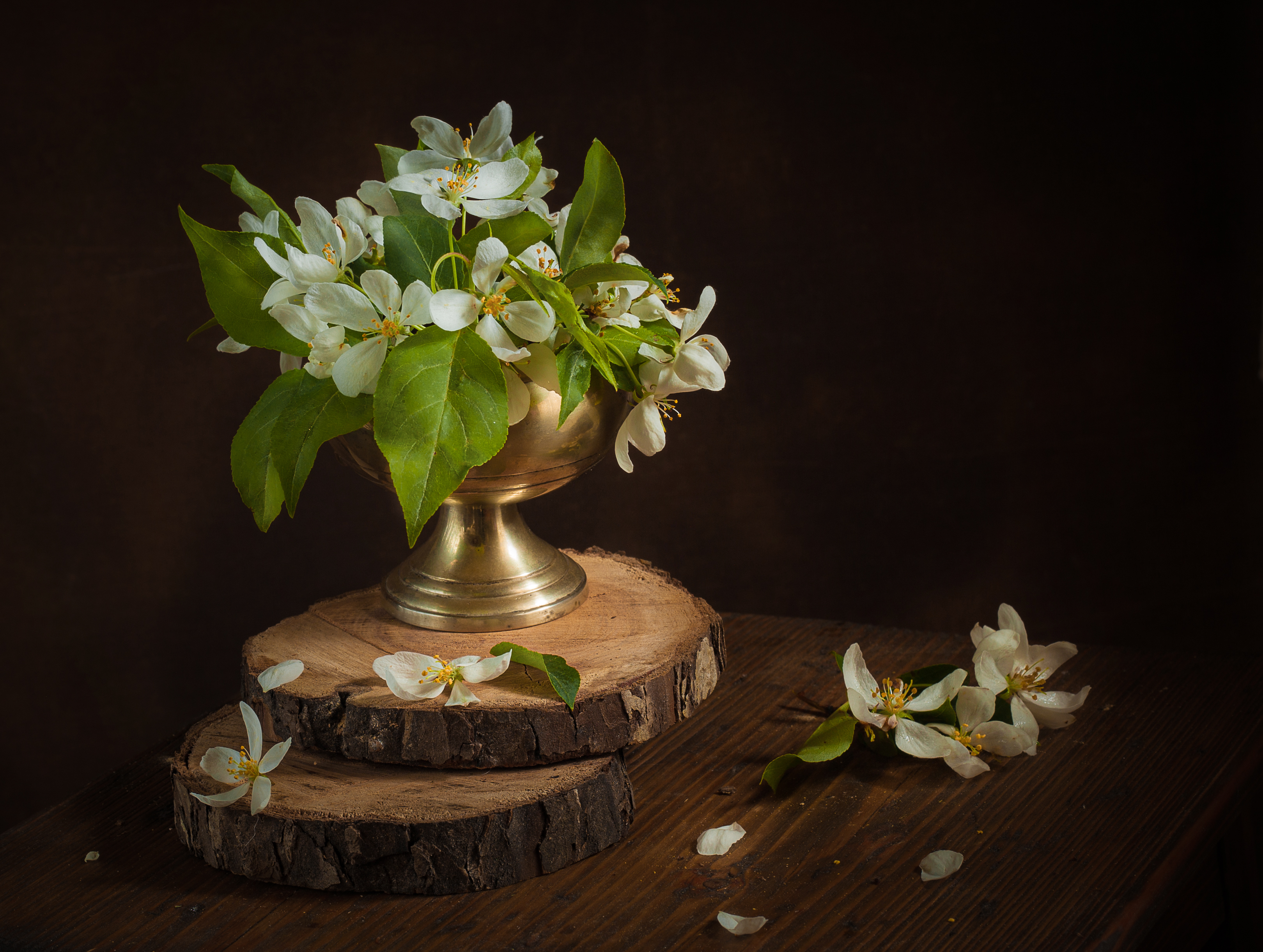 , Хвойнова Елена