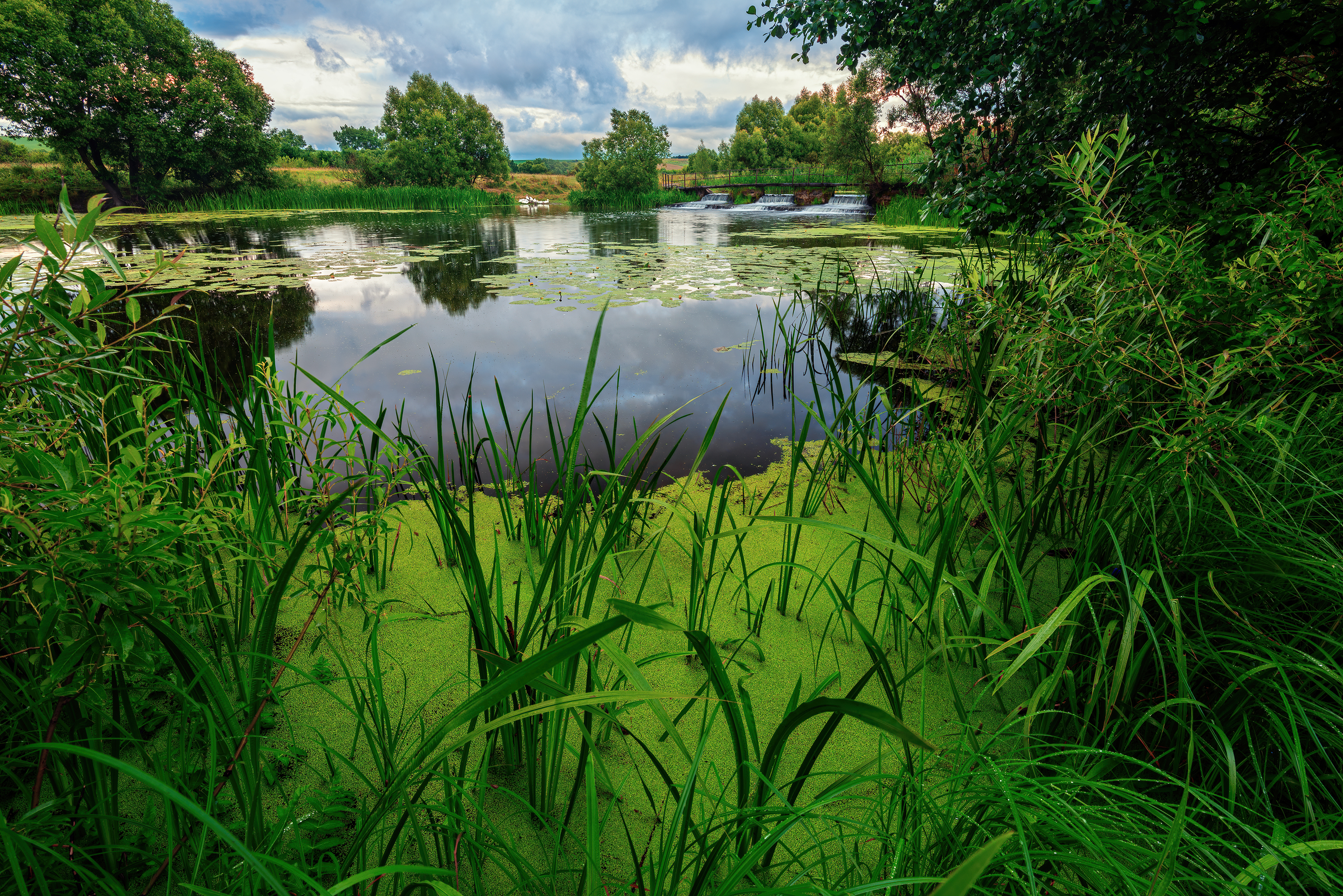 , Павел Абакумов