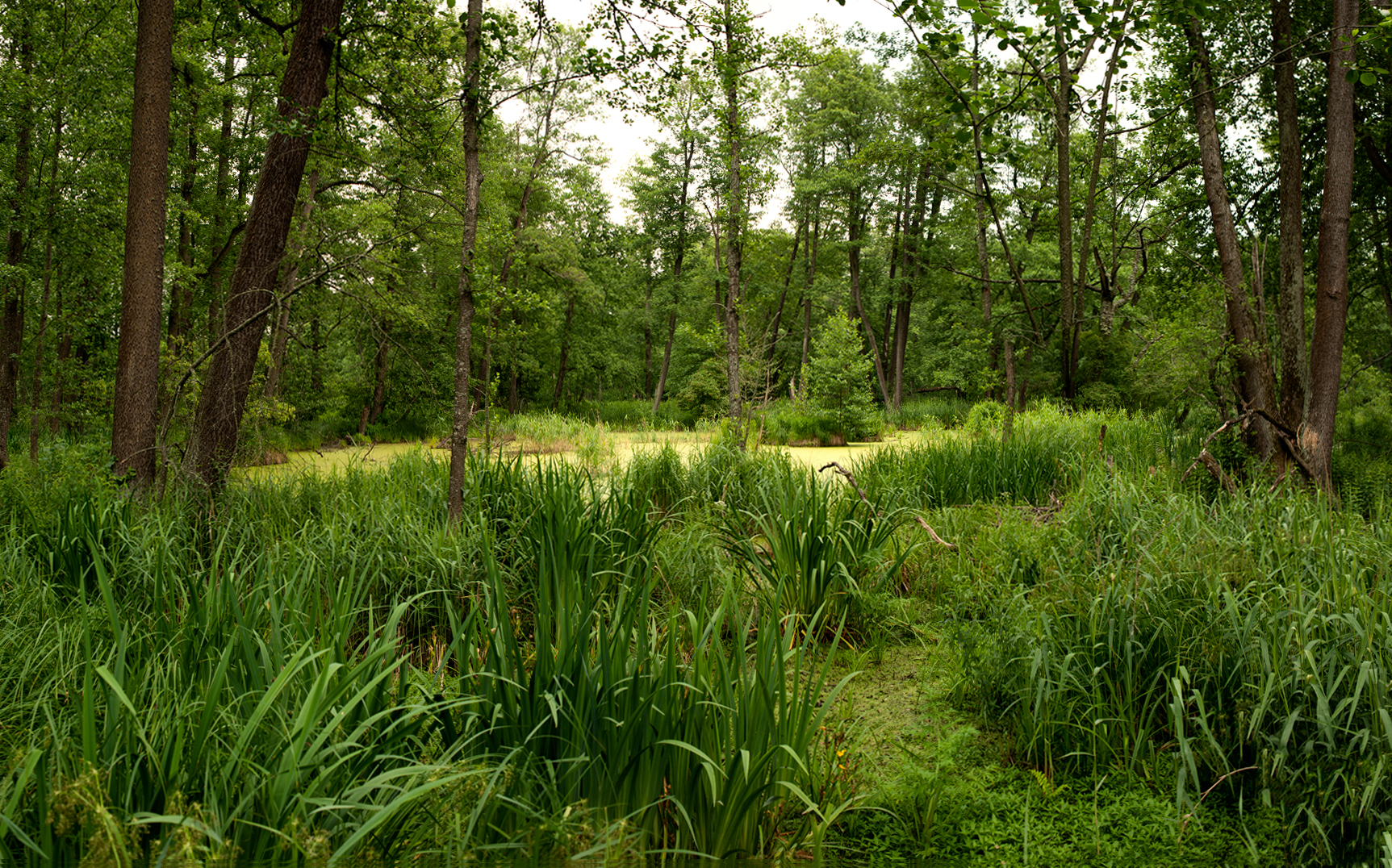 , Рукин Иван