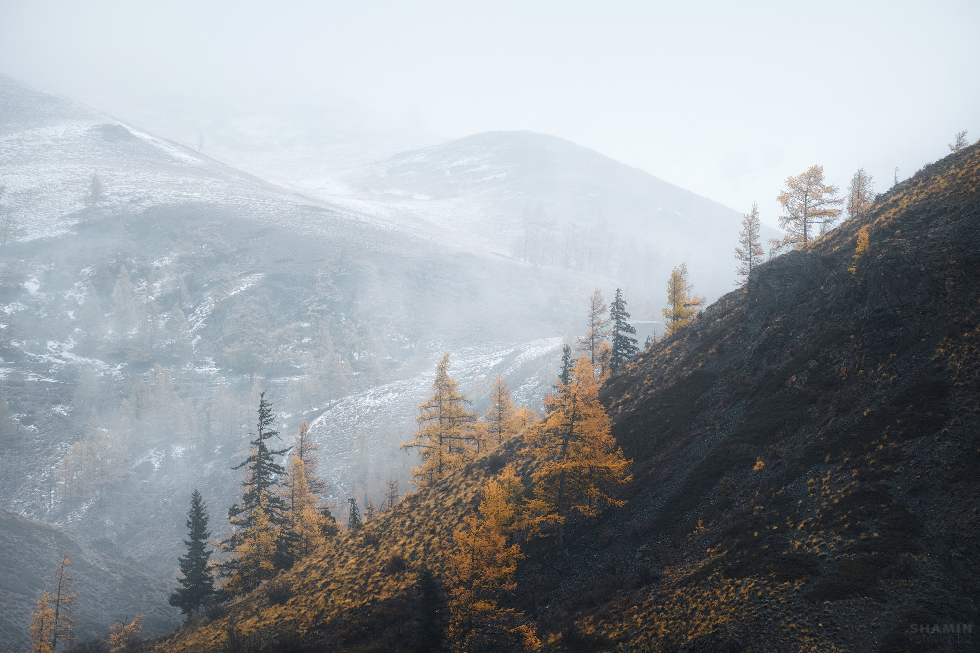 , Константин Шамин