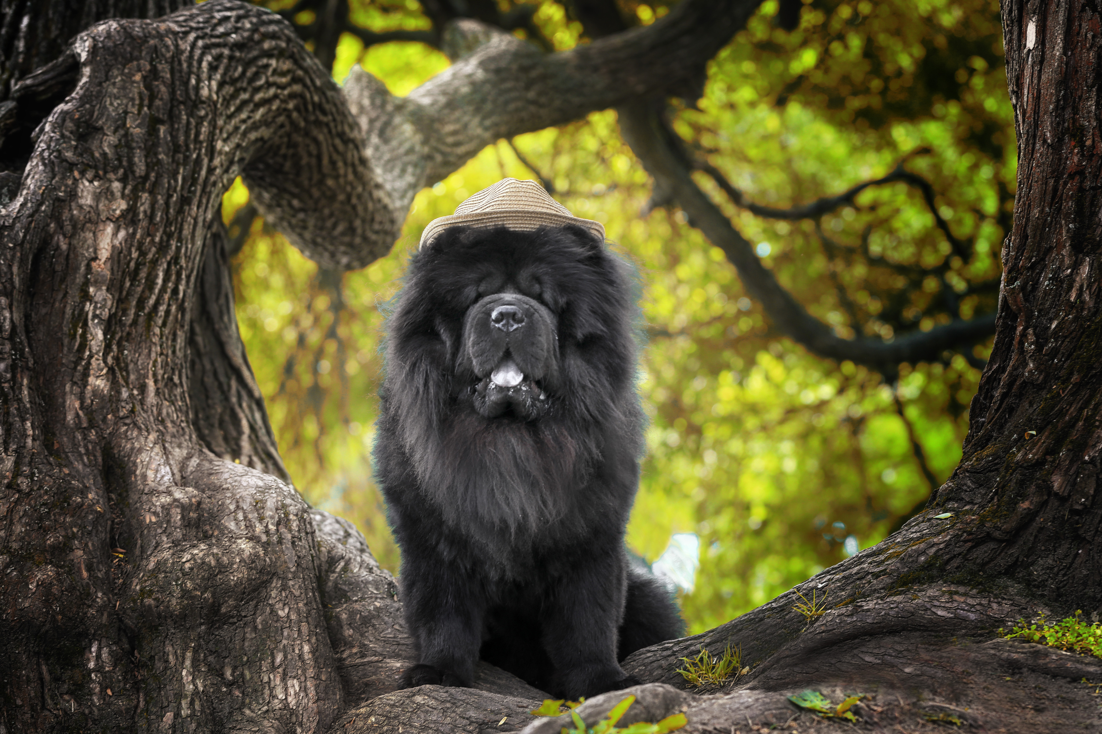 , Андрей Ершов