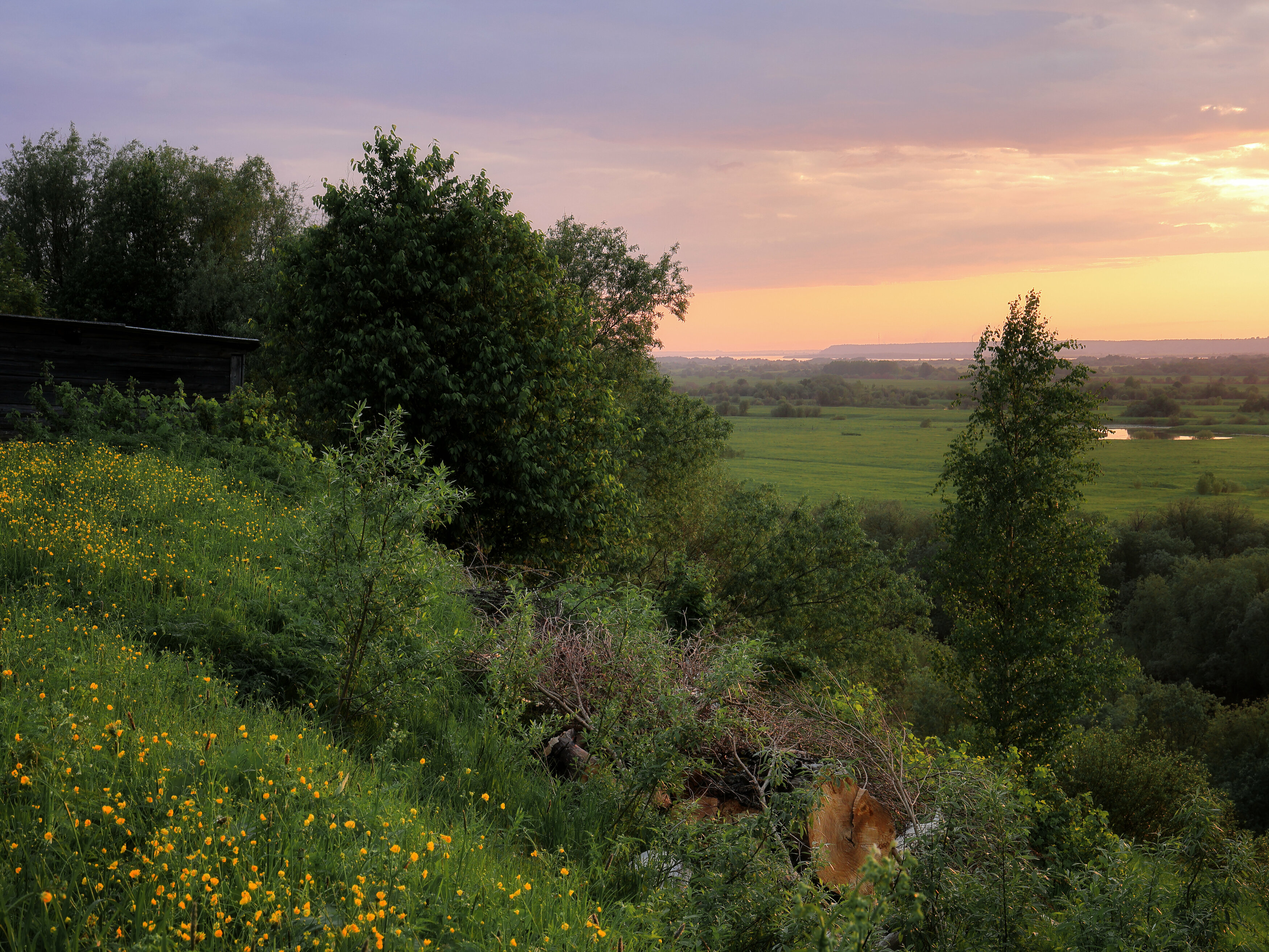 , Александр Титов