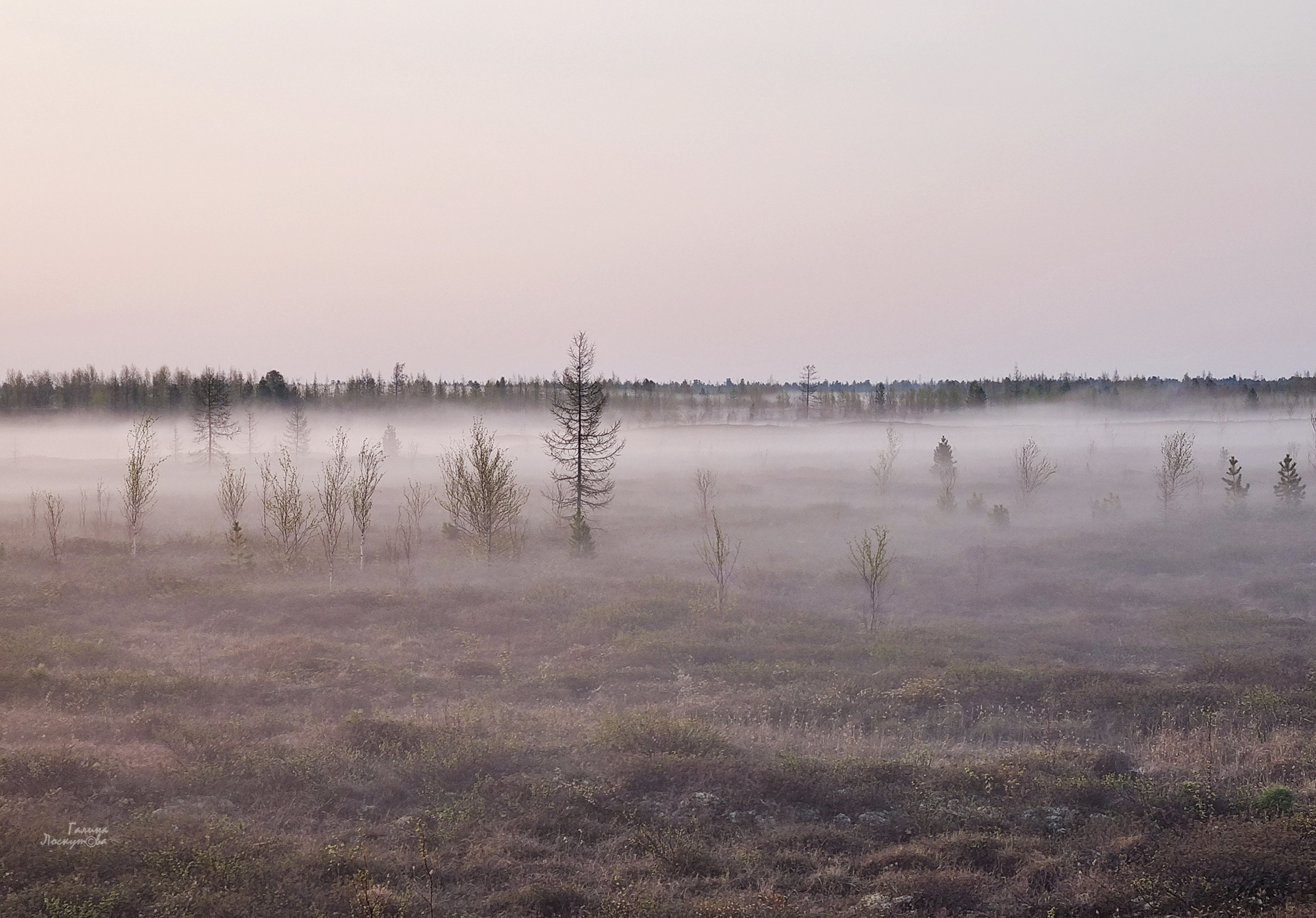 тундра, туман, северная природа, утро, воздушная перспектива, Галина Лоскутова