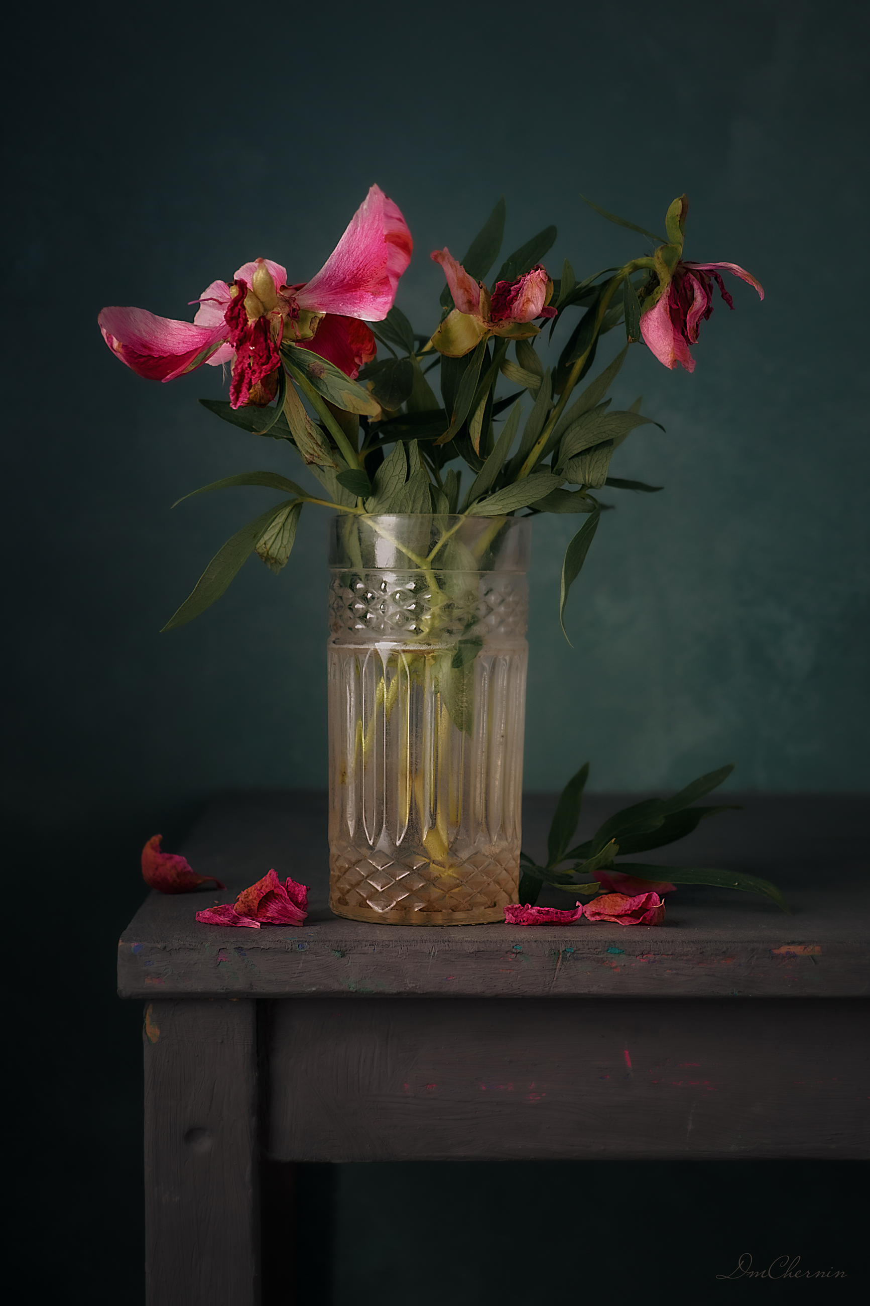 , Чернин Дмитрий