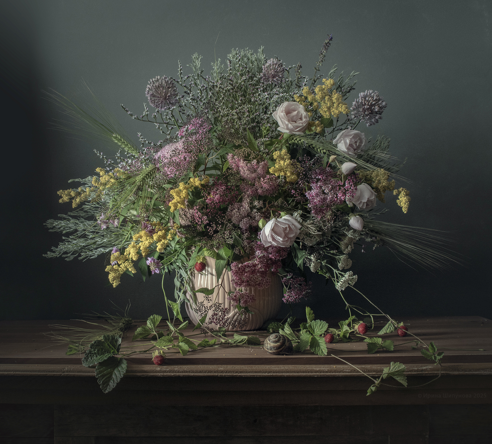 , Шипунова Ирина