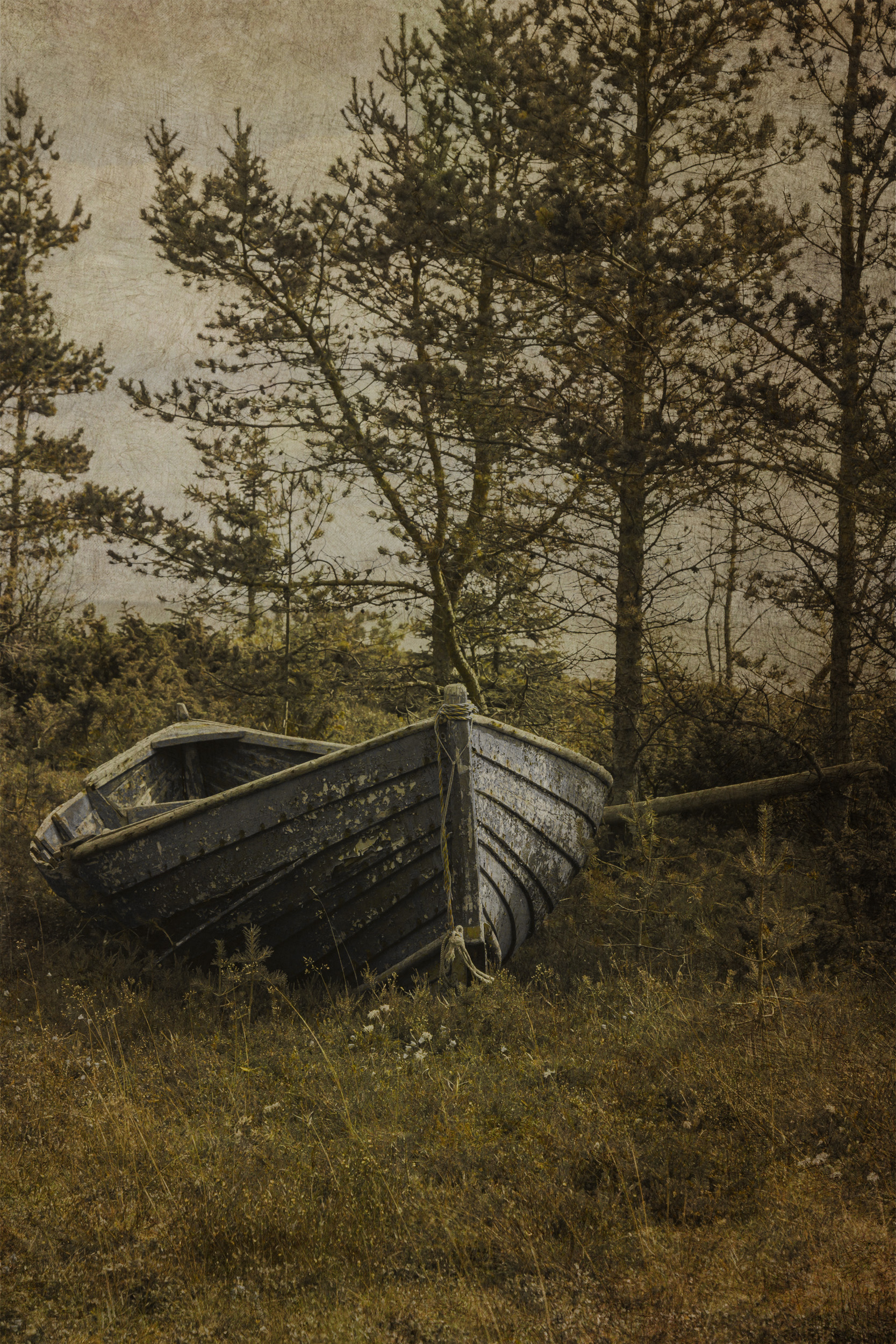 Север поморье, Сагдиева Эльвира