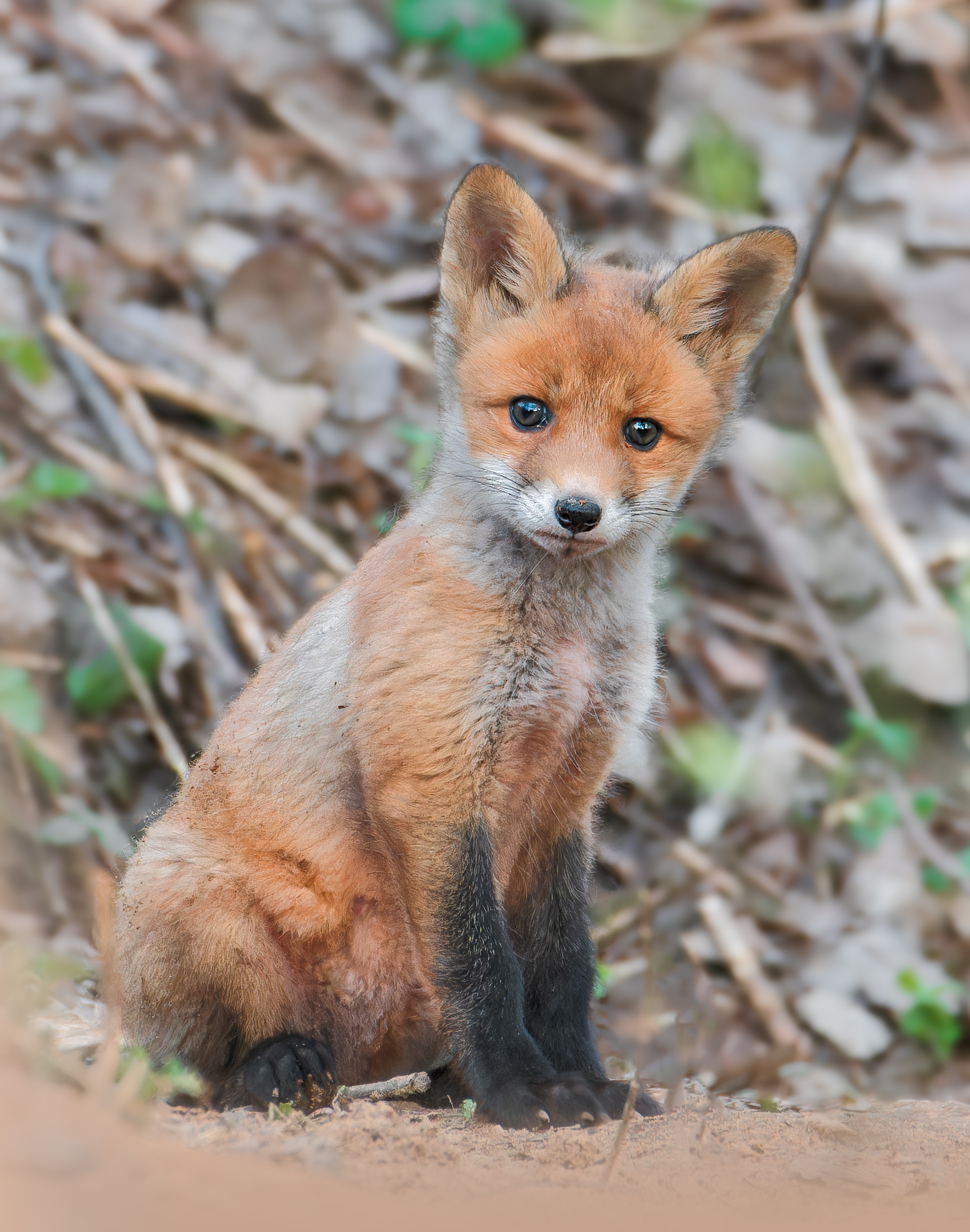 , Фото Александр