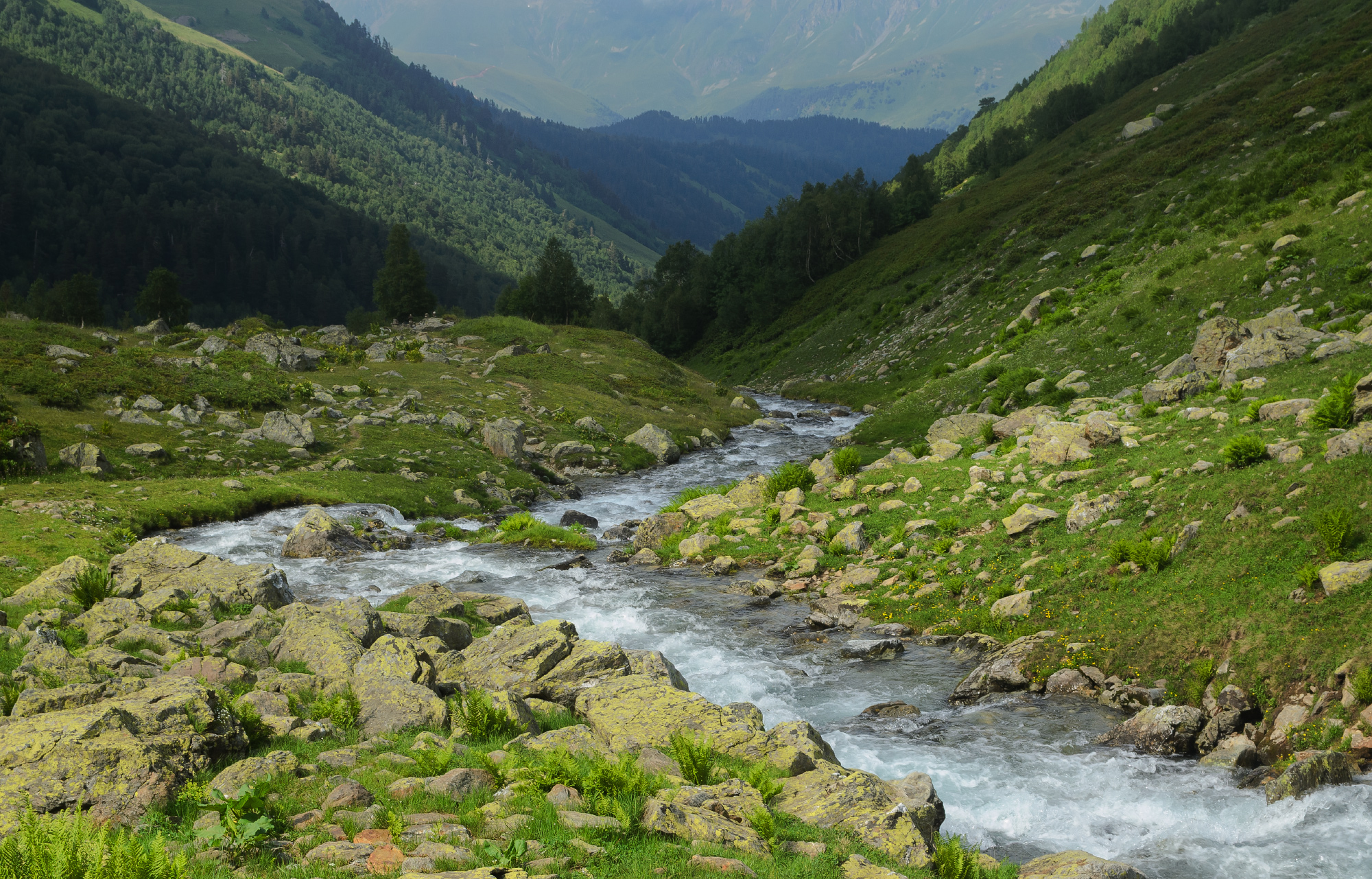 , Лысенко Сергей