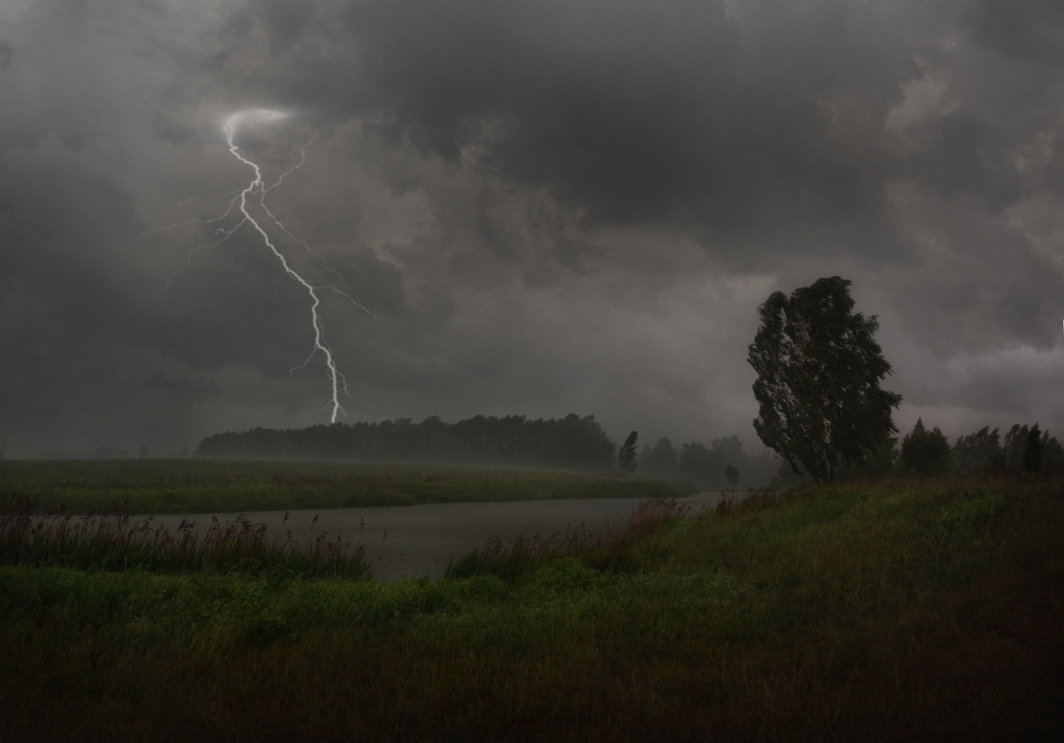 лес, свет, утро, природа, Баранов Олег
