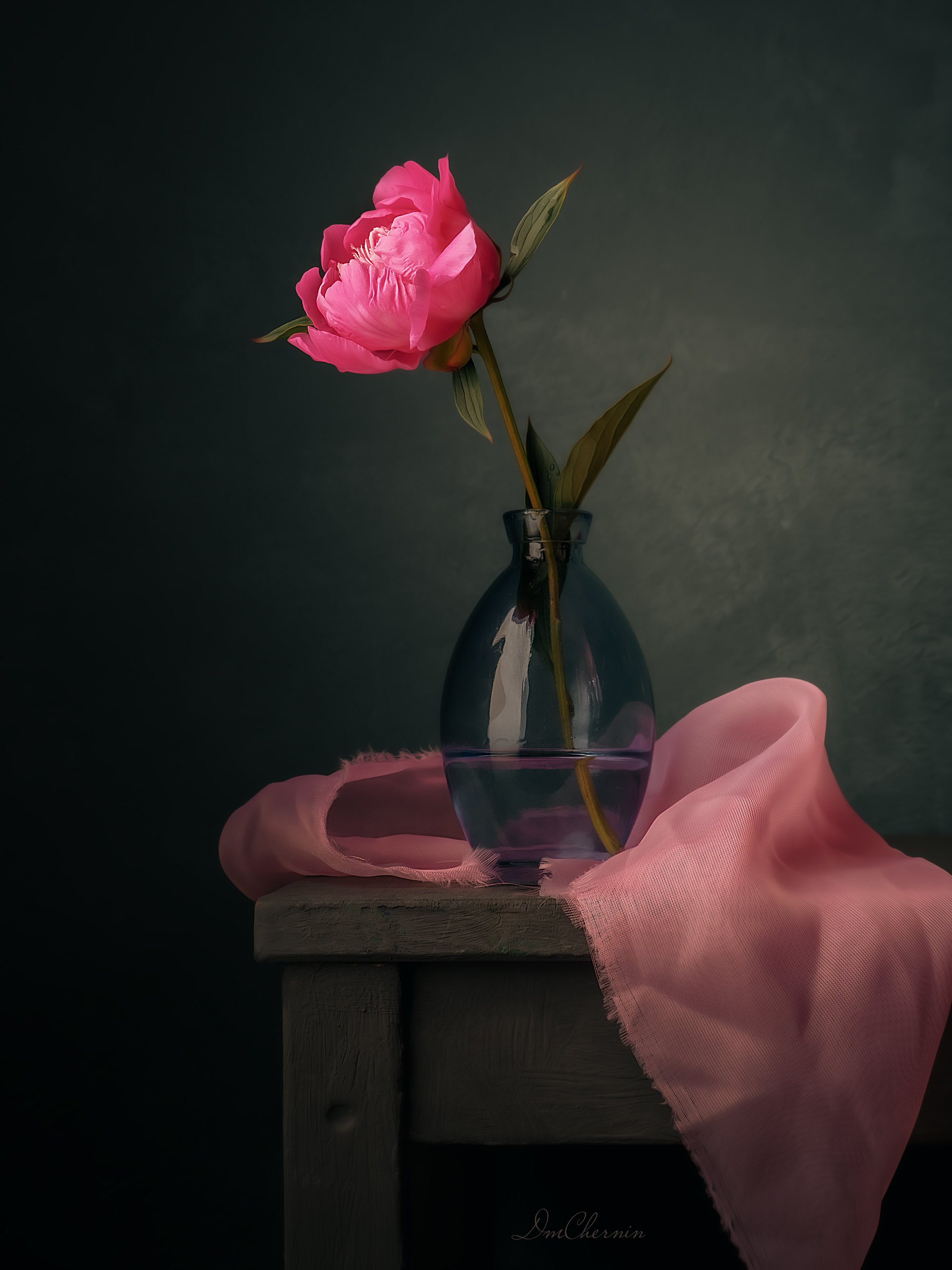 , Чернин Дмитрий