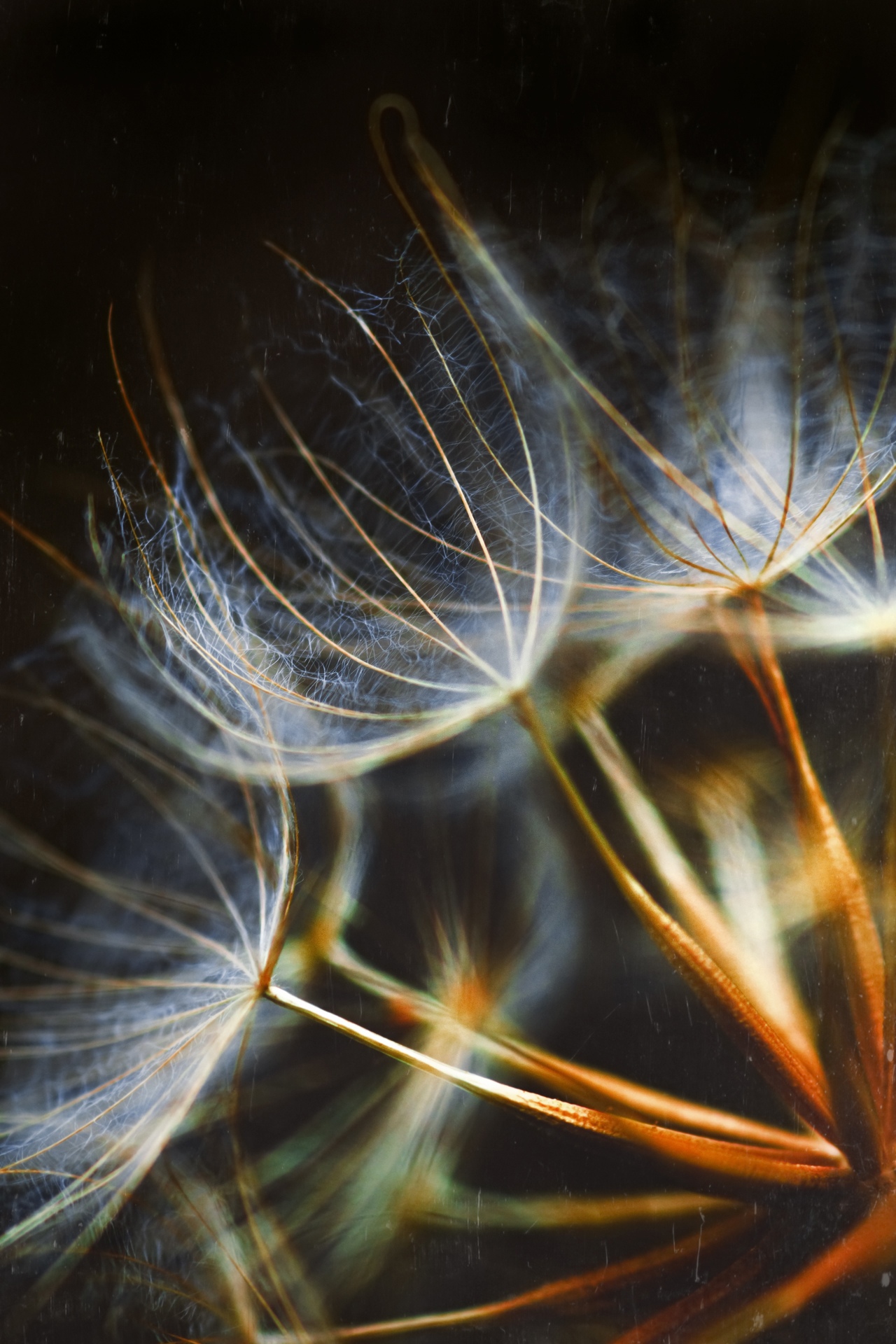 , Александр