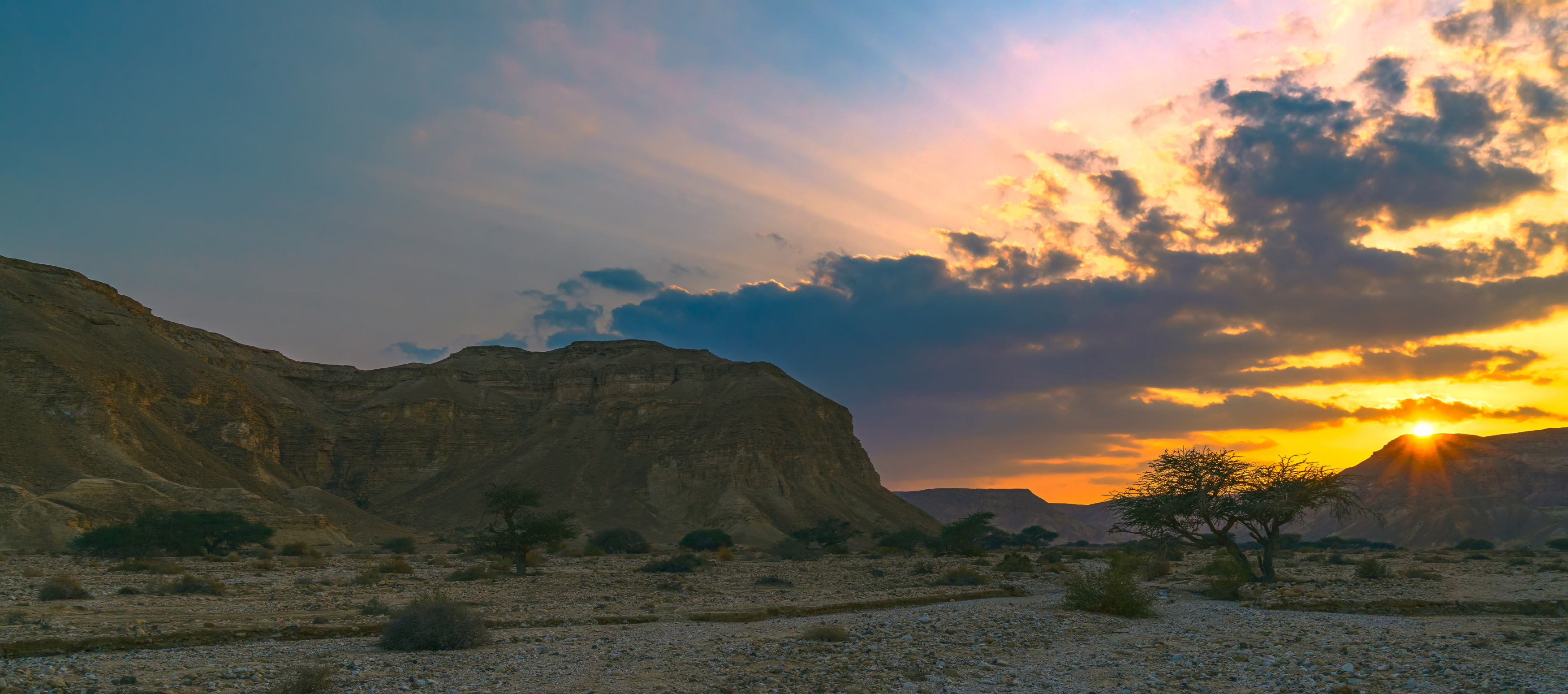 , Шварцман Евгений
