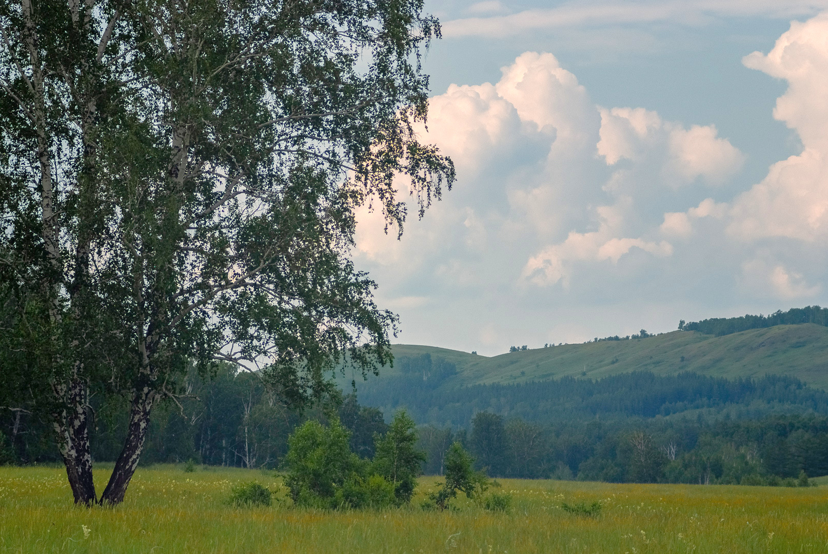 s5pro + таир 11а 135/2,8, Шустиков Дмитрий