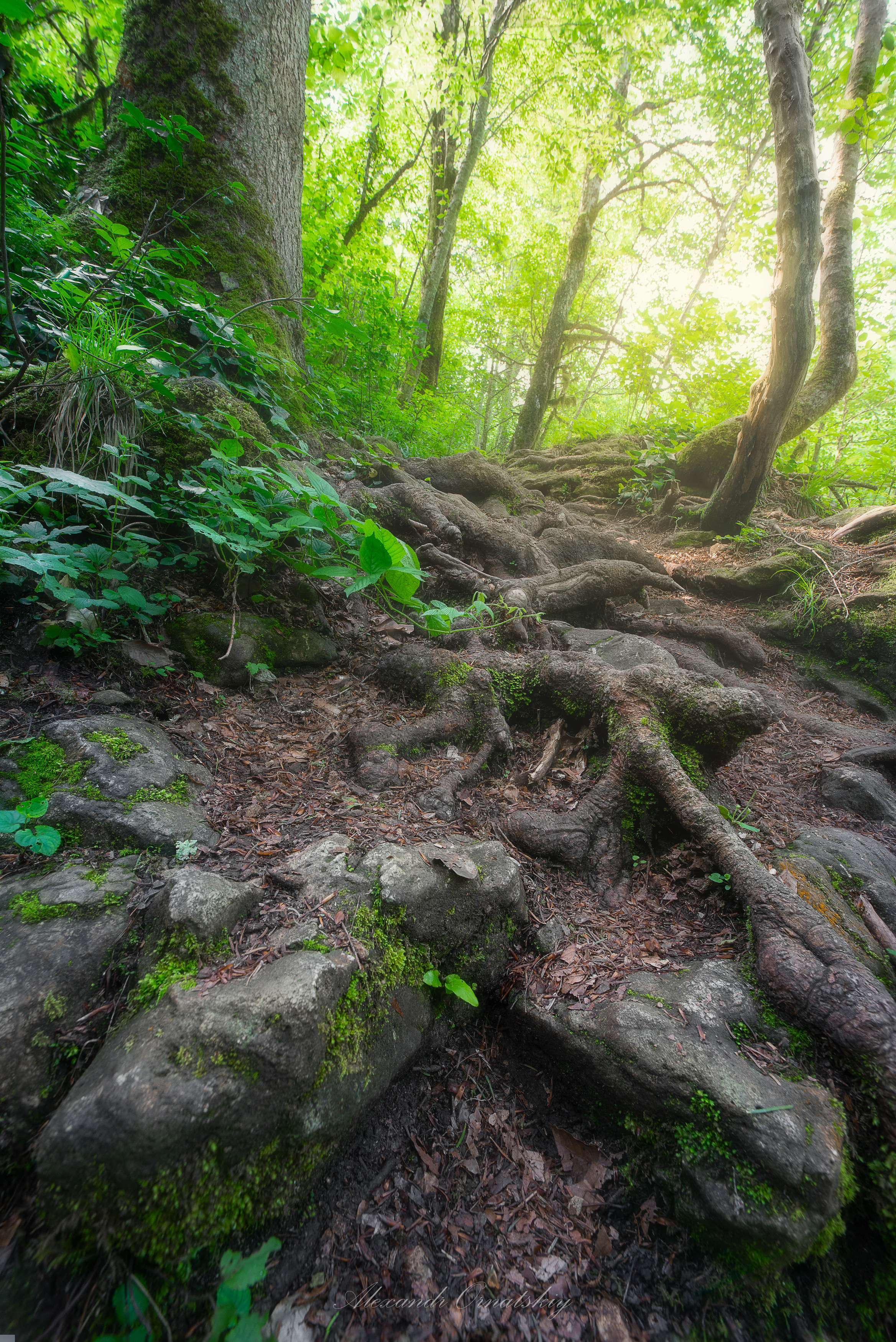 , Alexander Ornatskiy