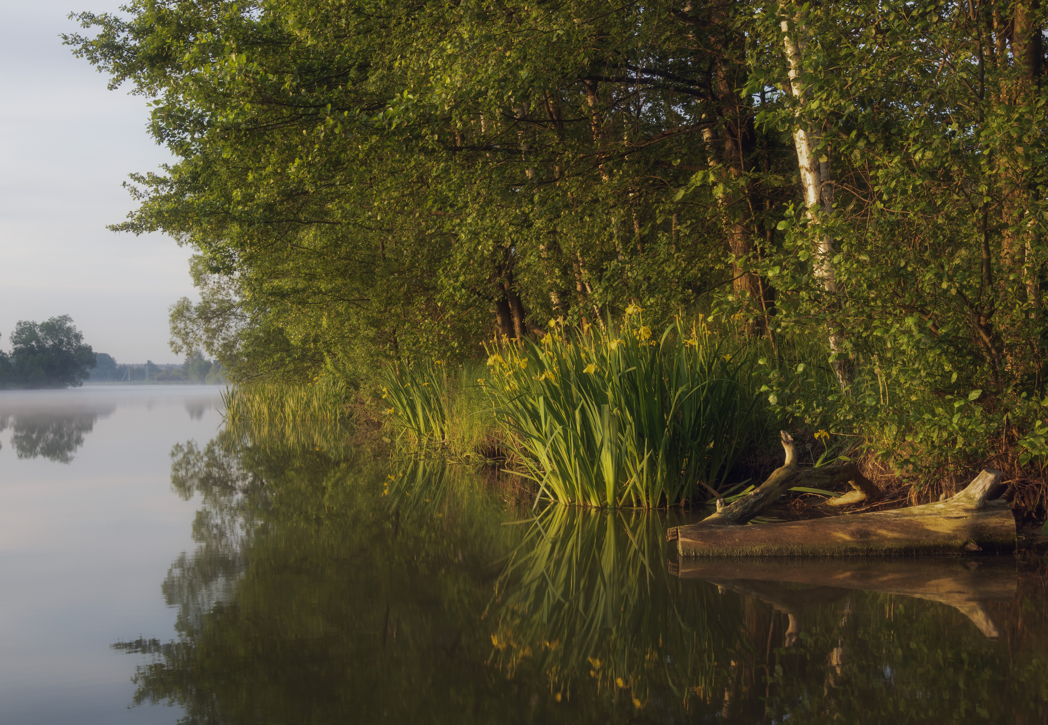 , Бонина Ольга