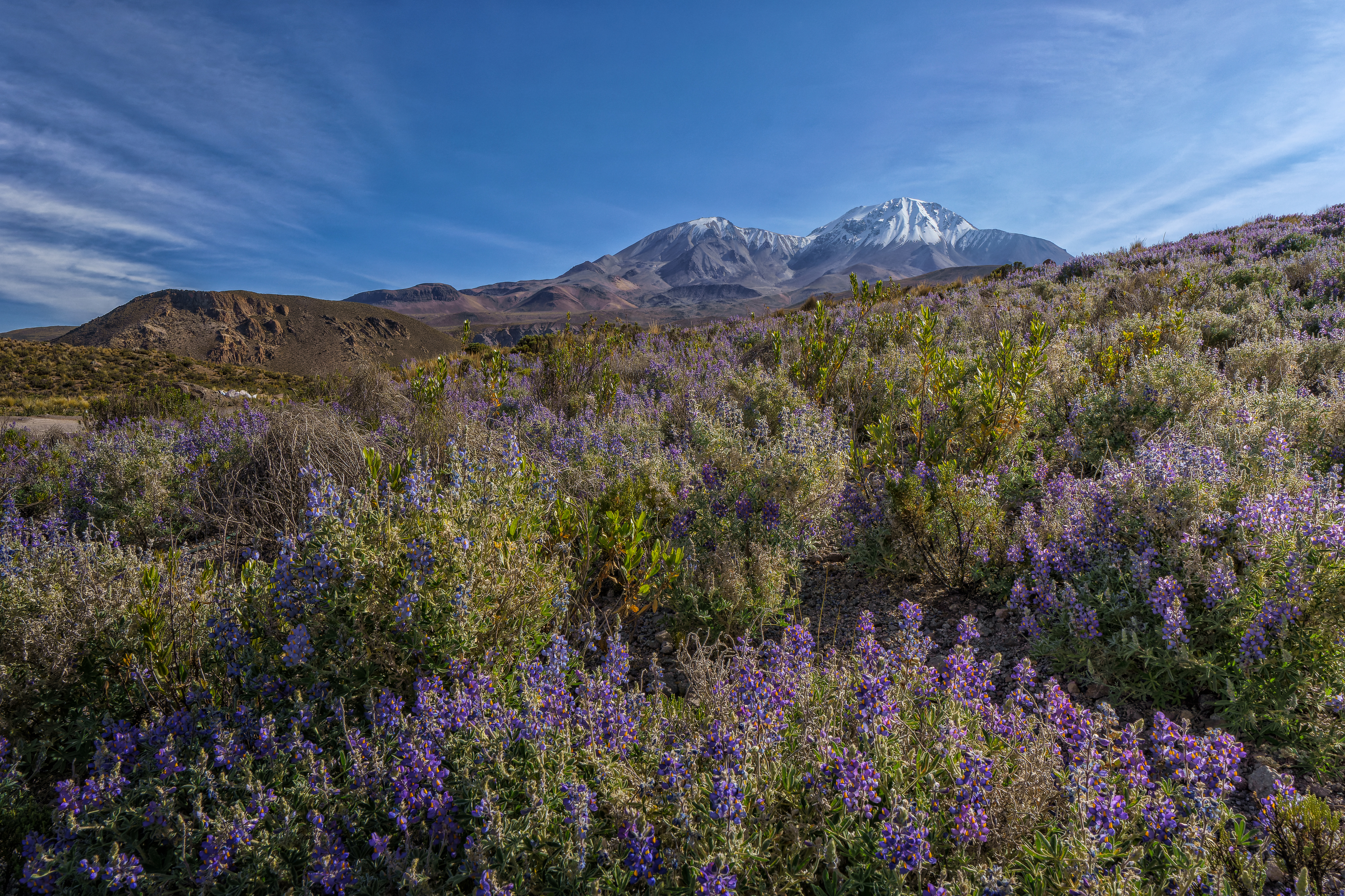, RODRIGUEZ PROST JULIO