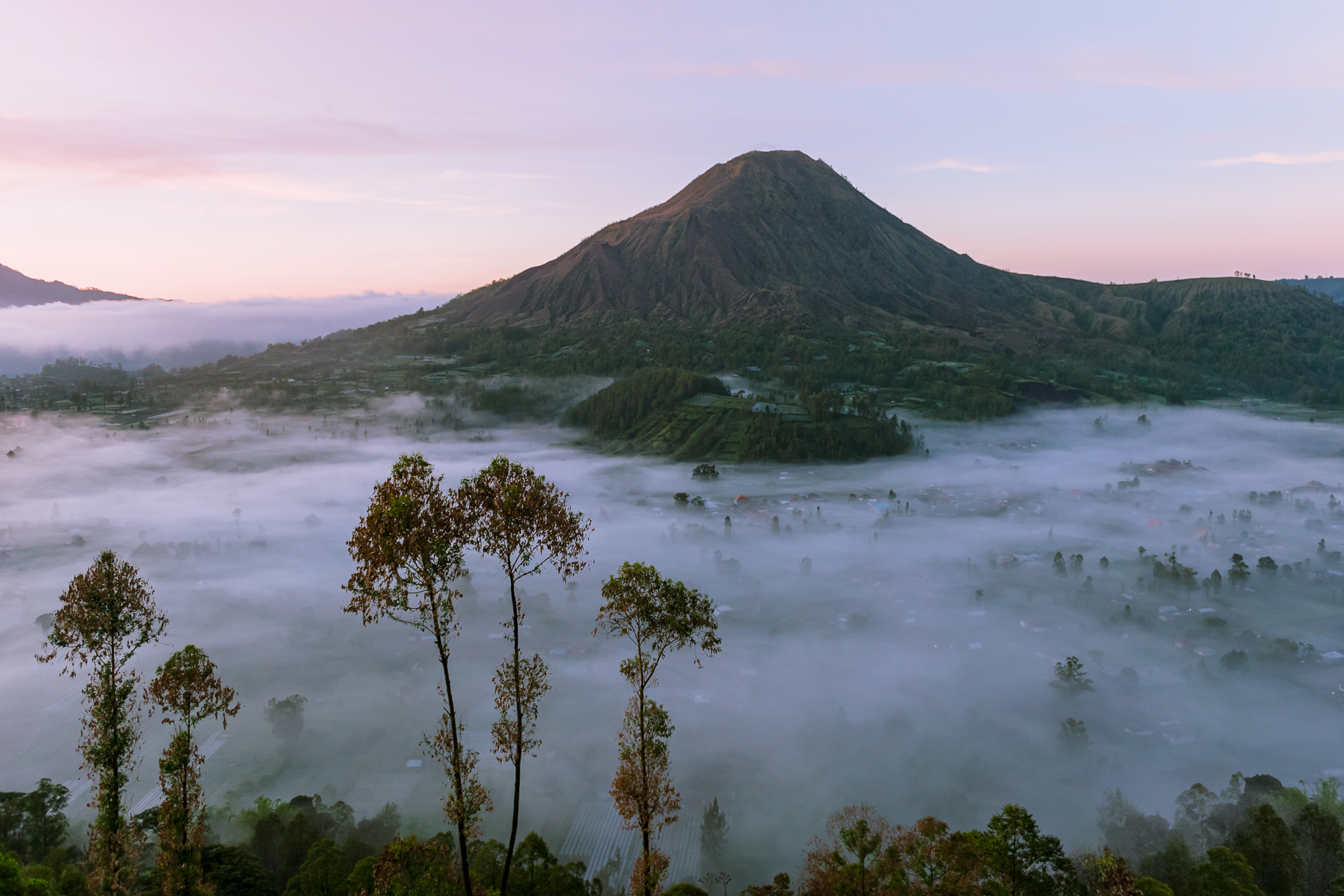 , Слава Азаров