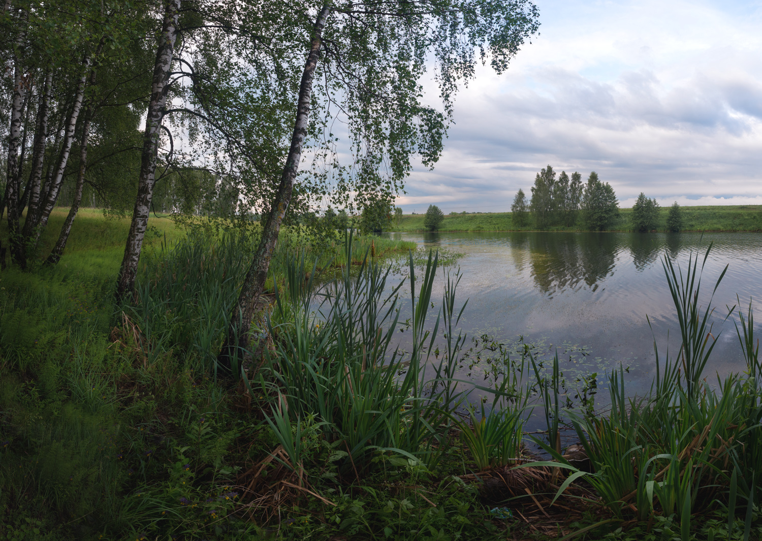 #пейзаж #лето #облака,  Ольга