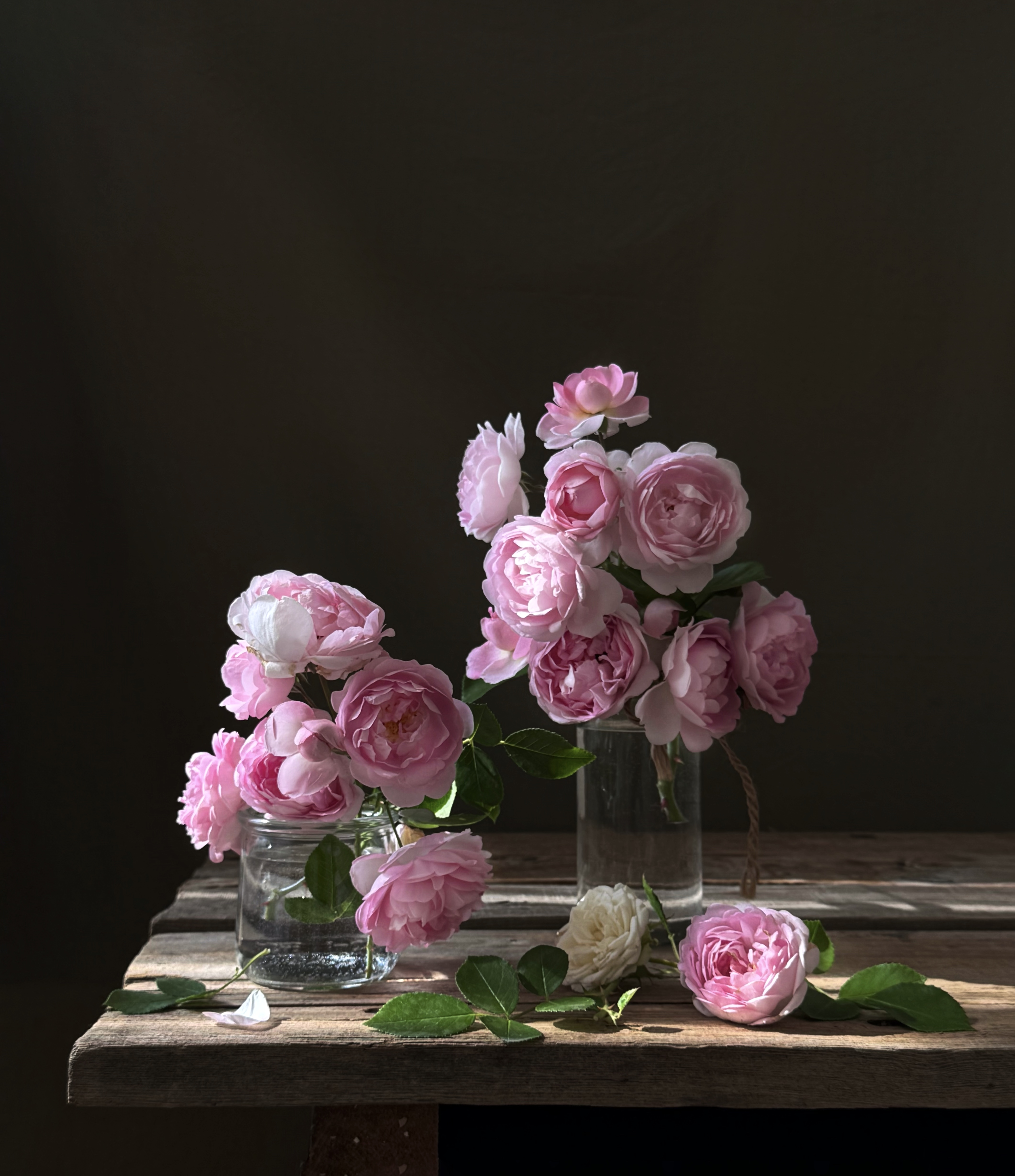 , Татьяна Семёнова