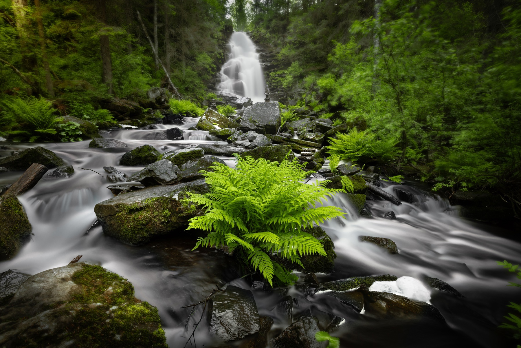 водопад, лес, папоротник, Вячеслав Мельников