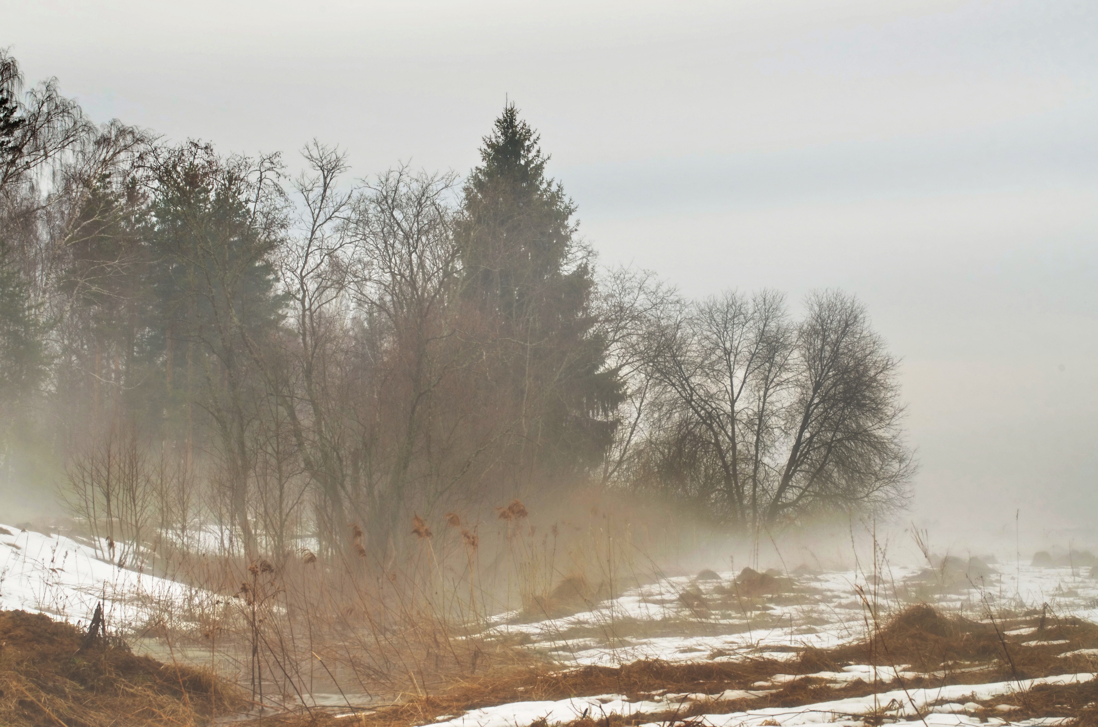 , Сергей Клапишевский
