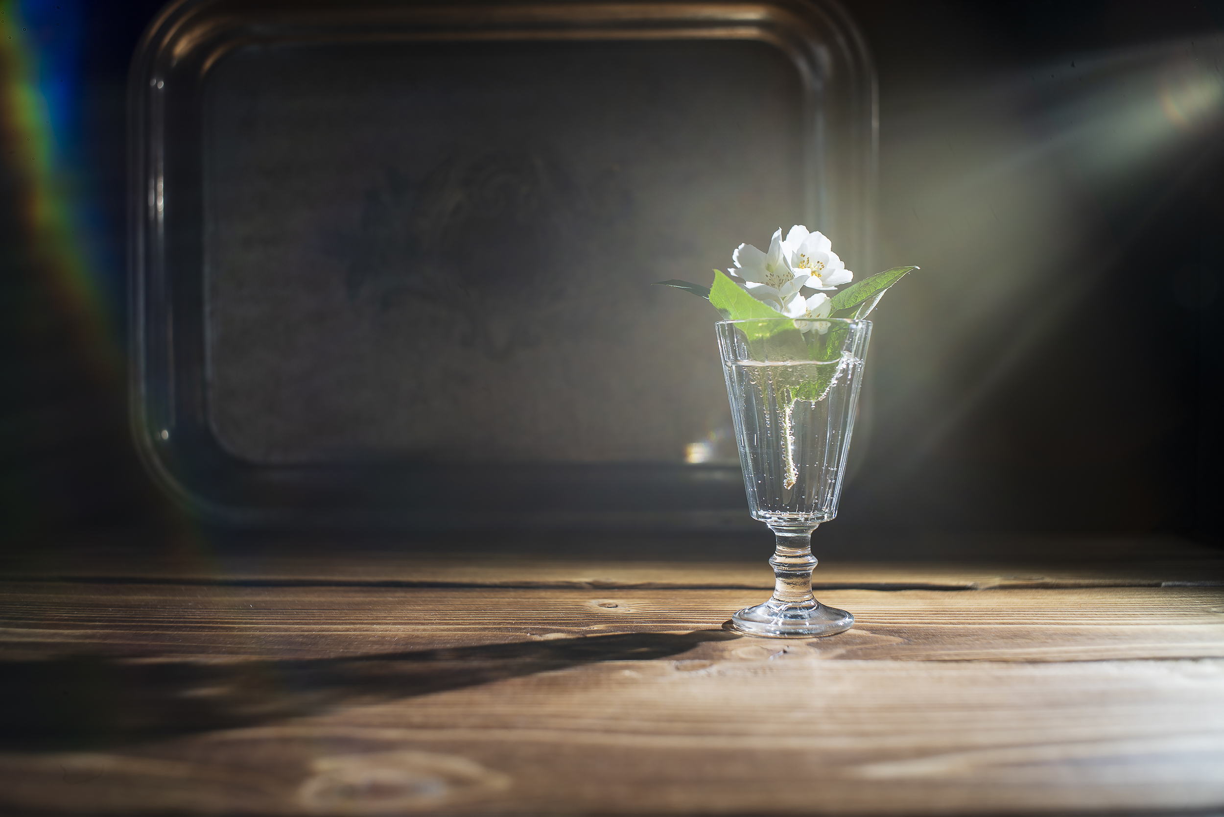 натюрморт, цветы, вазы, тень, стекло, жасмин, Бакбак Тата