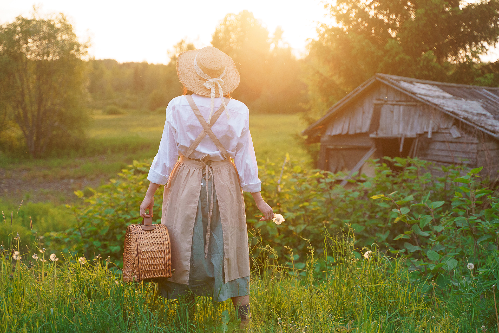 , Стеценко Александр