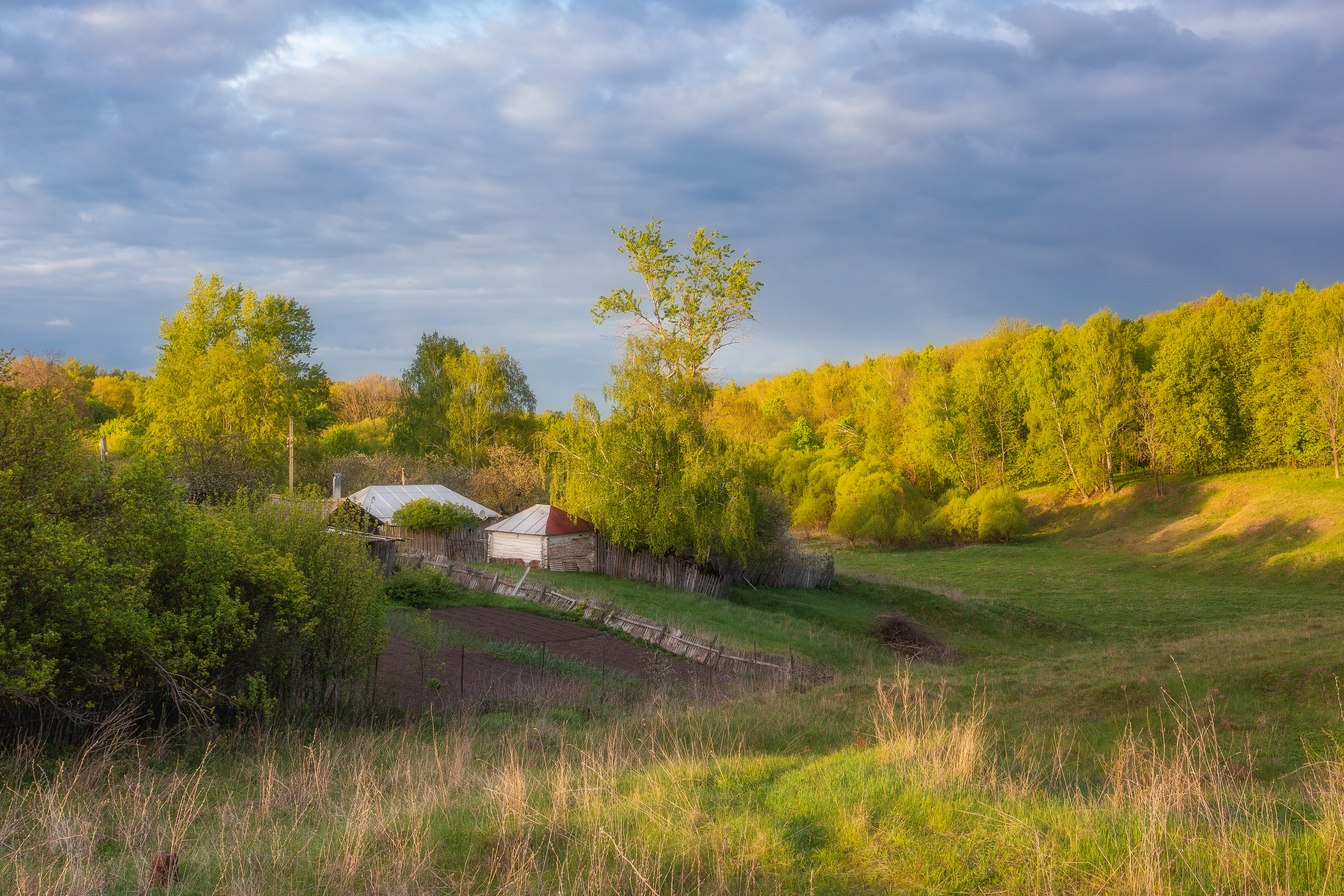 природа, сельский пейзаж, пейзаж, деревня, Тульская область, Мартыненко Дмитрий