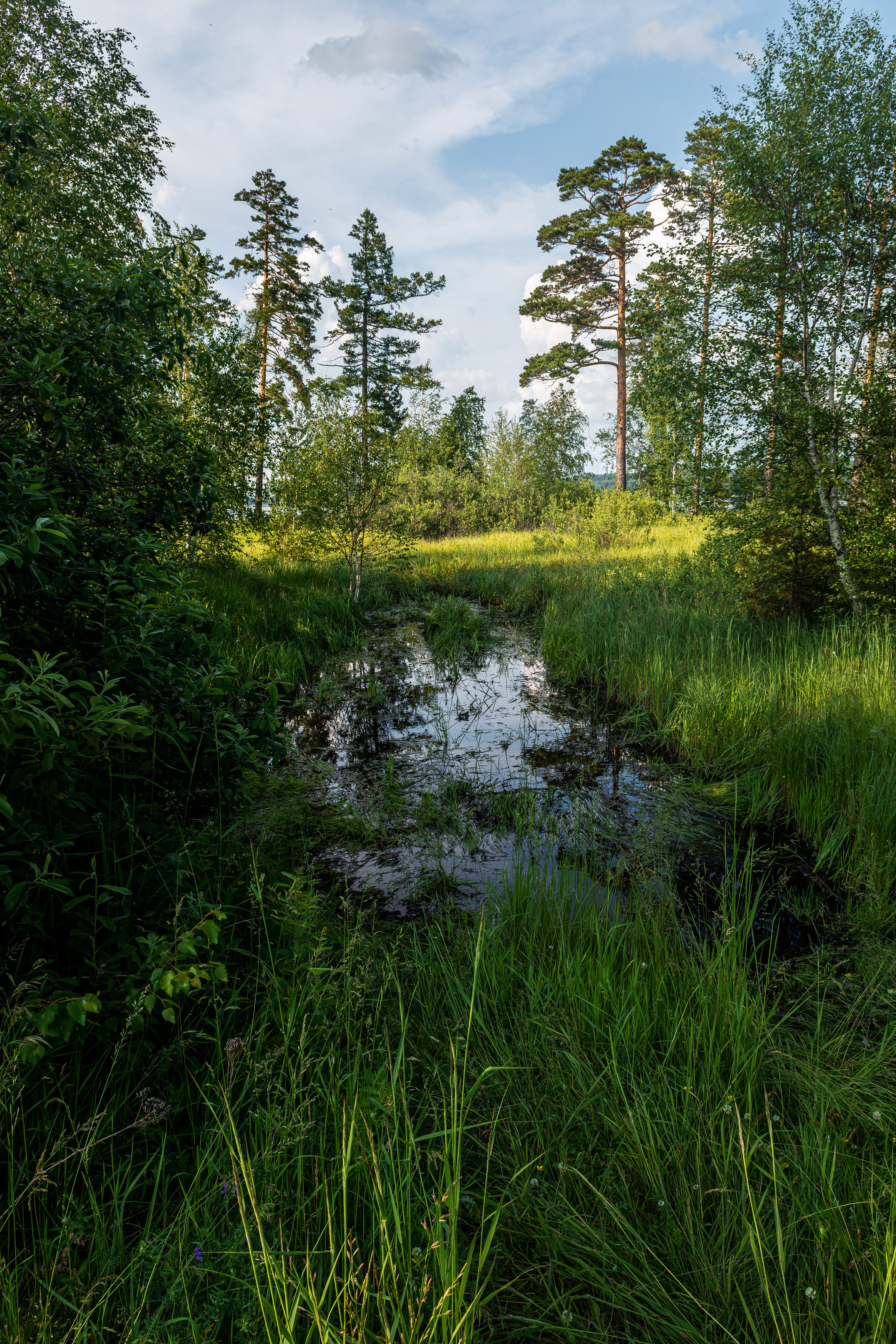 , Андрей Шарапов