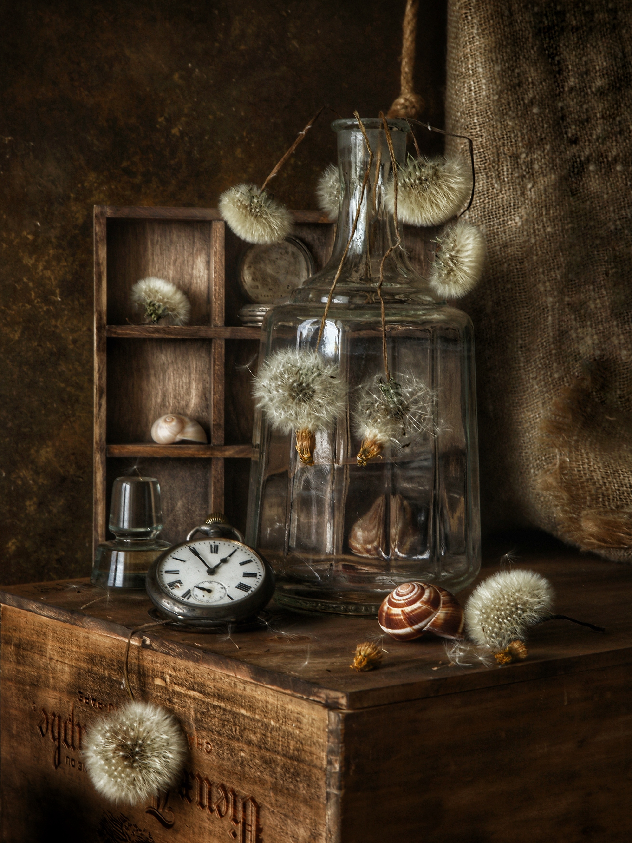 , Angelica Medvedeva