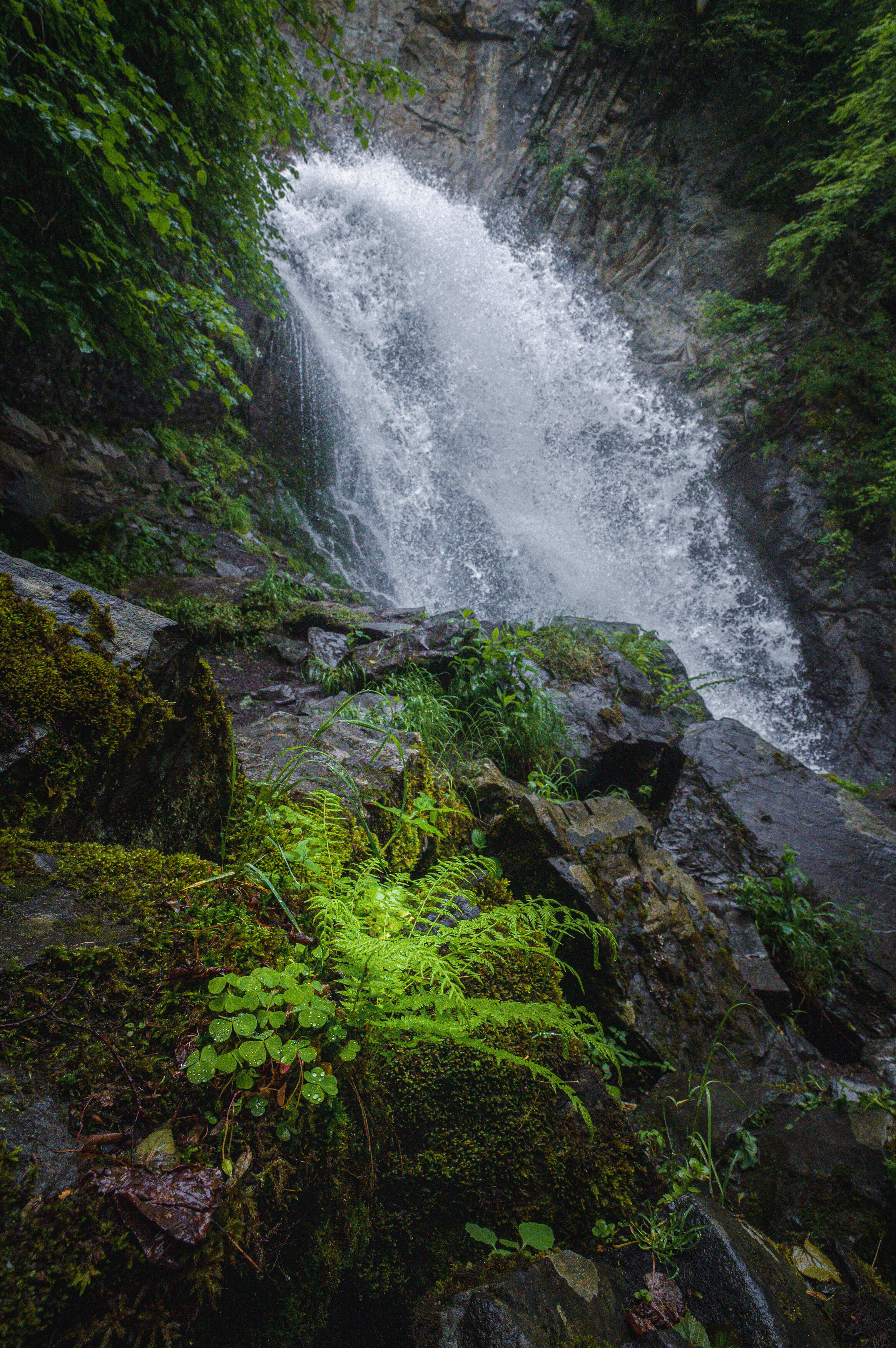 , Алексей Кретов