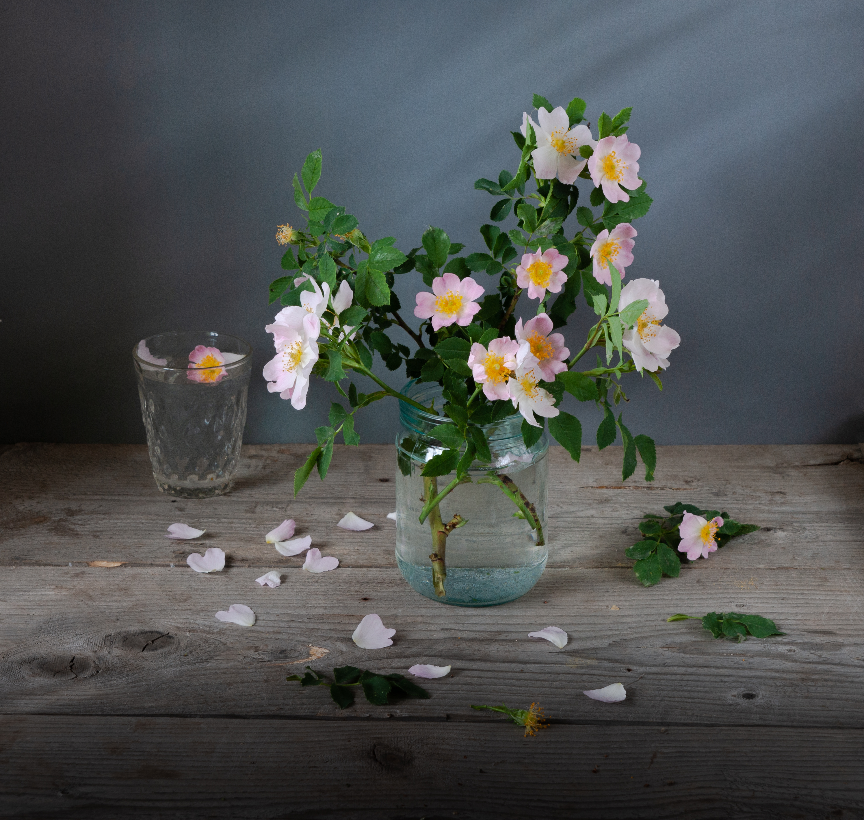 , Павлюк Елена