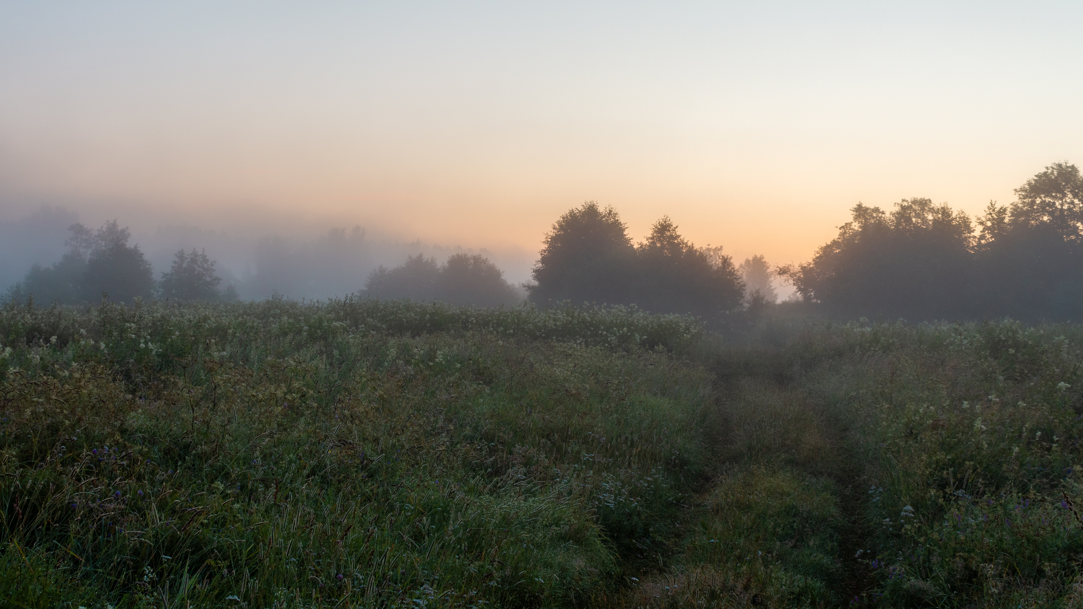 , Комарова Вера