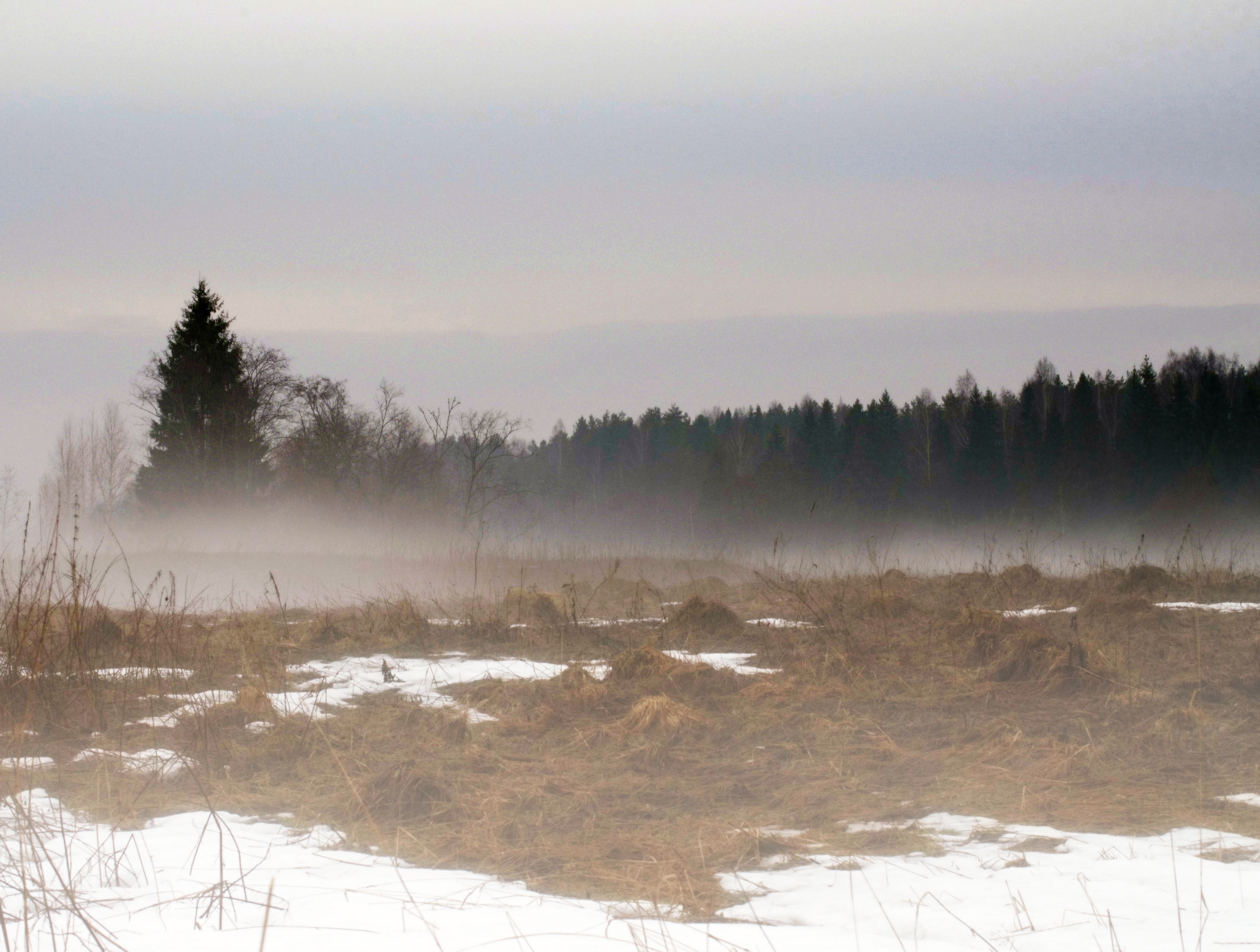 , Сергей Клапишевский