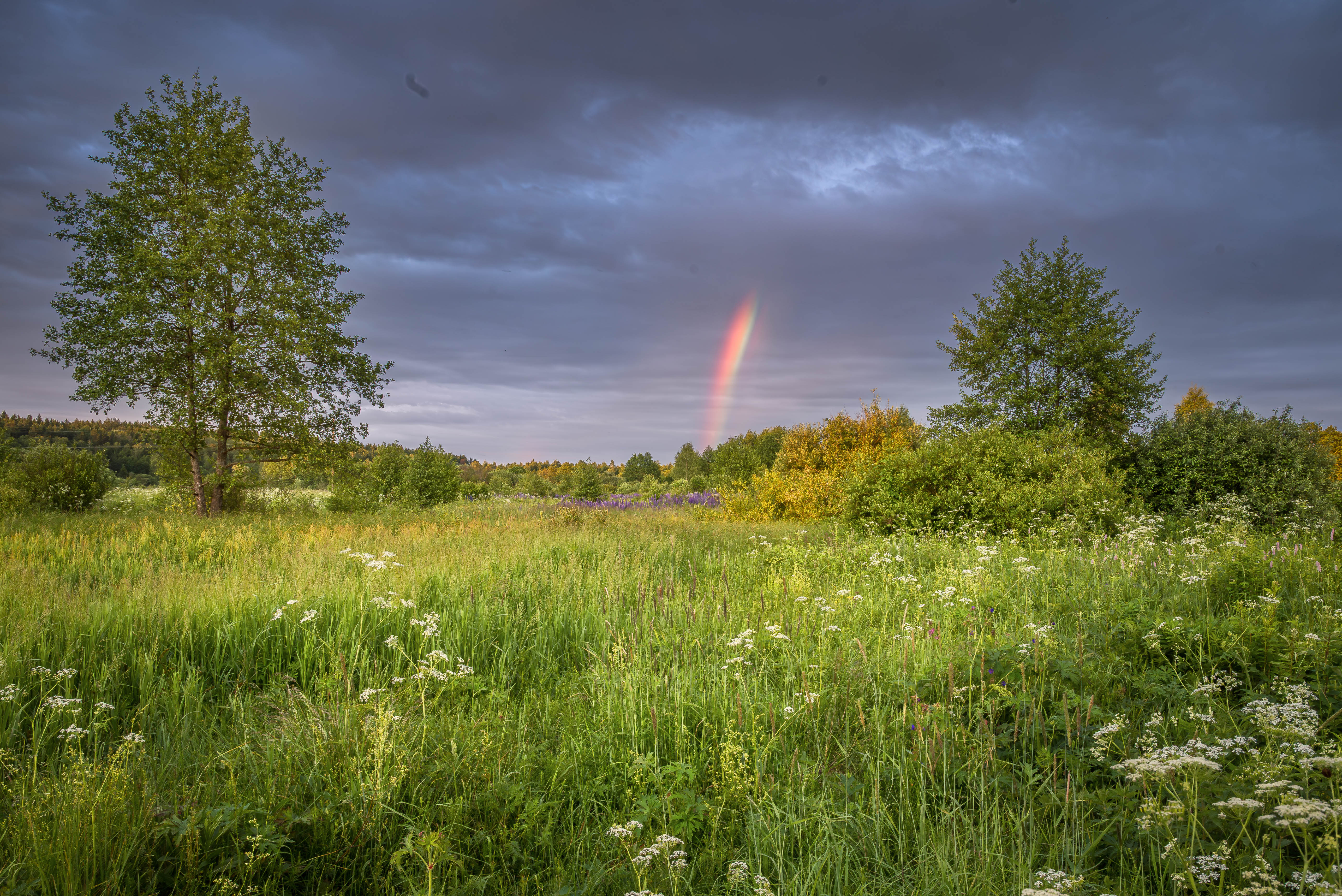 , Сережин Сережа
