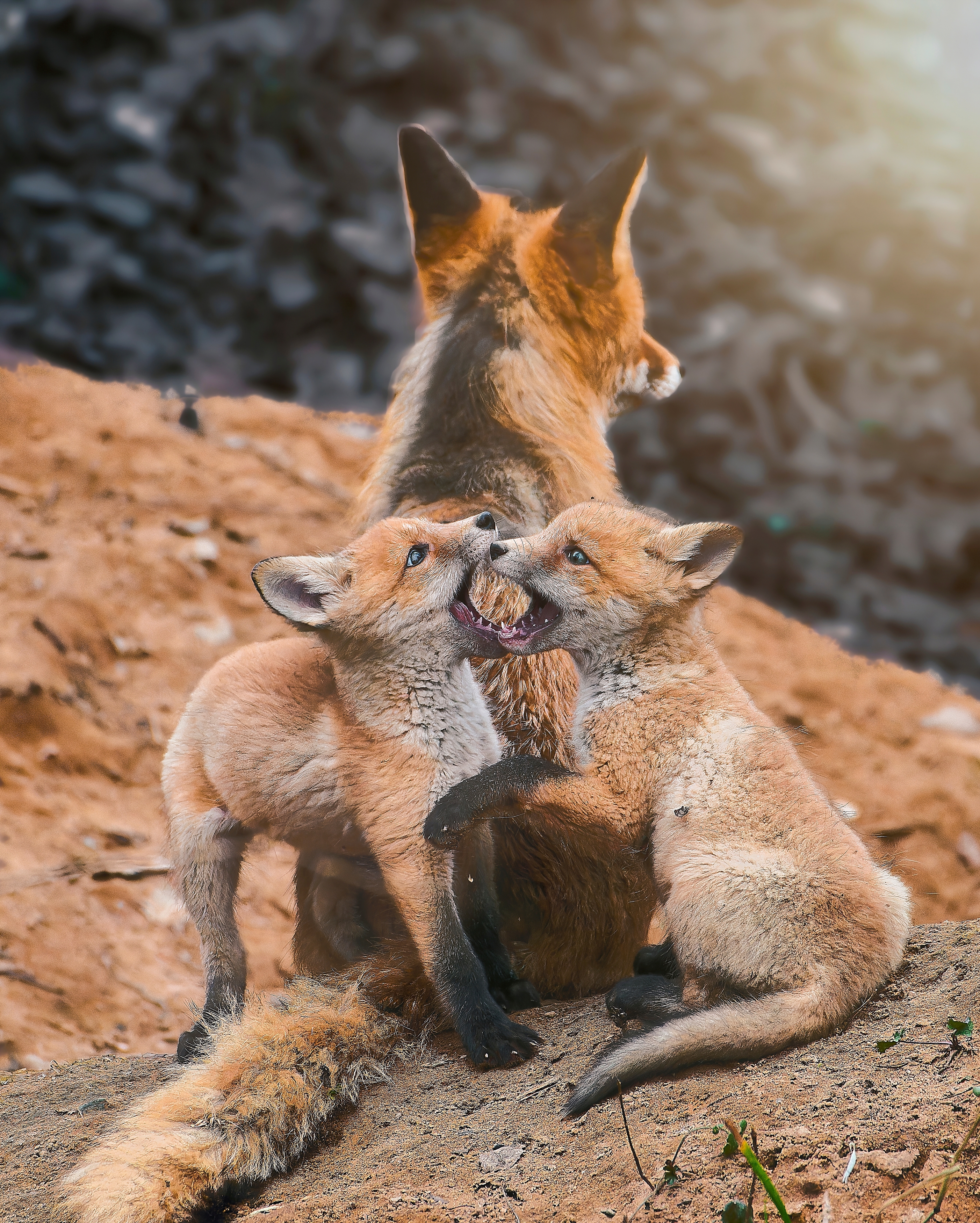 , Фото Александр