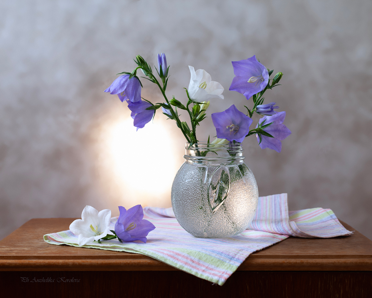 , Анжелика Королева