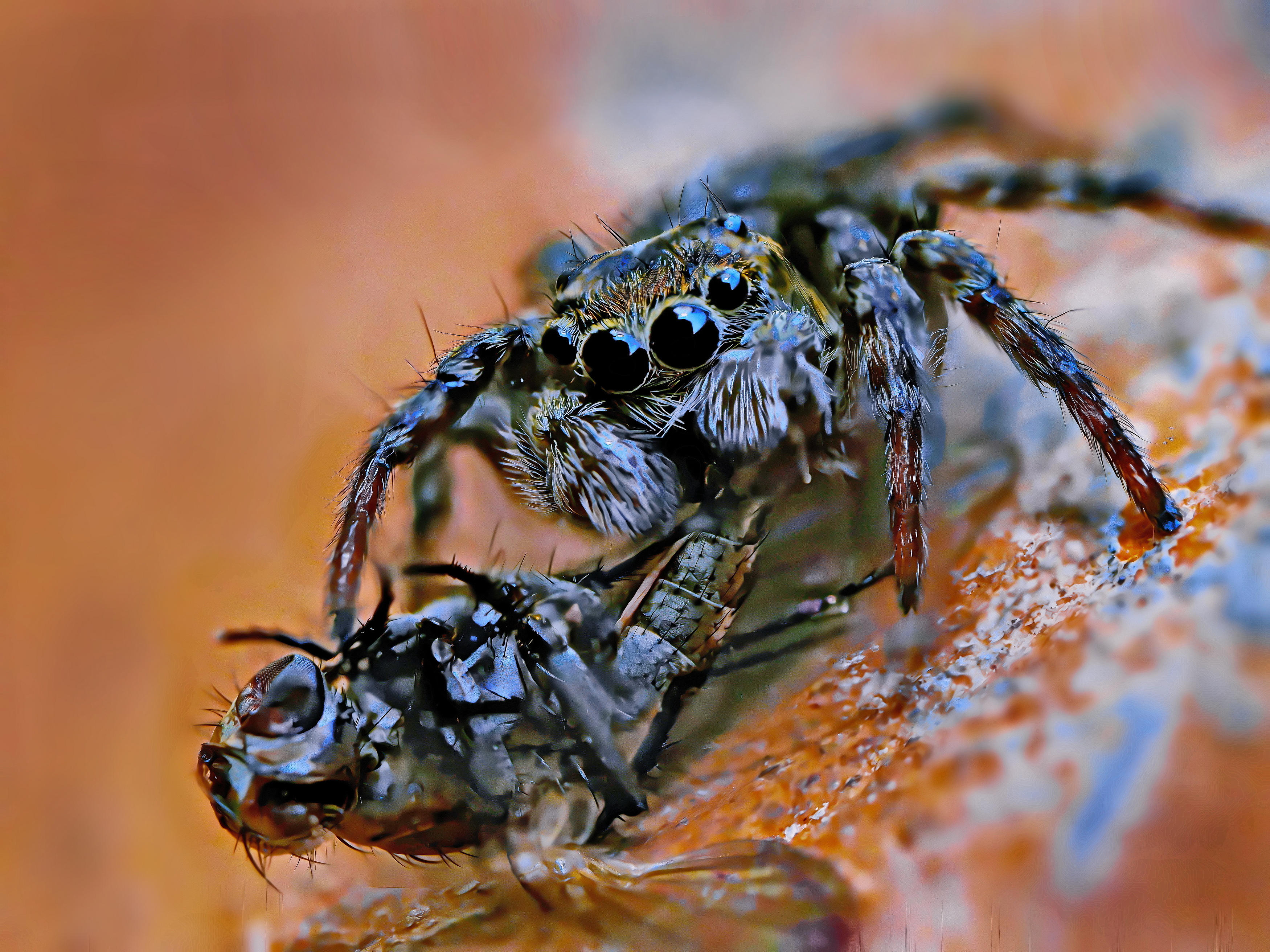 , Кузнецов Дмитрий