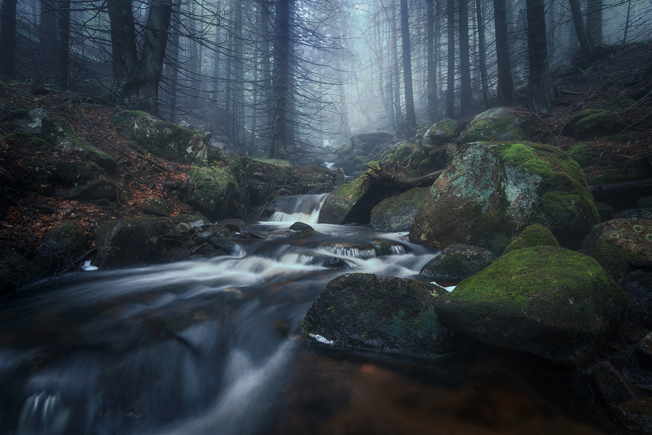 , Александър Александров