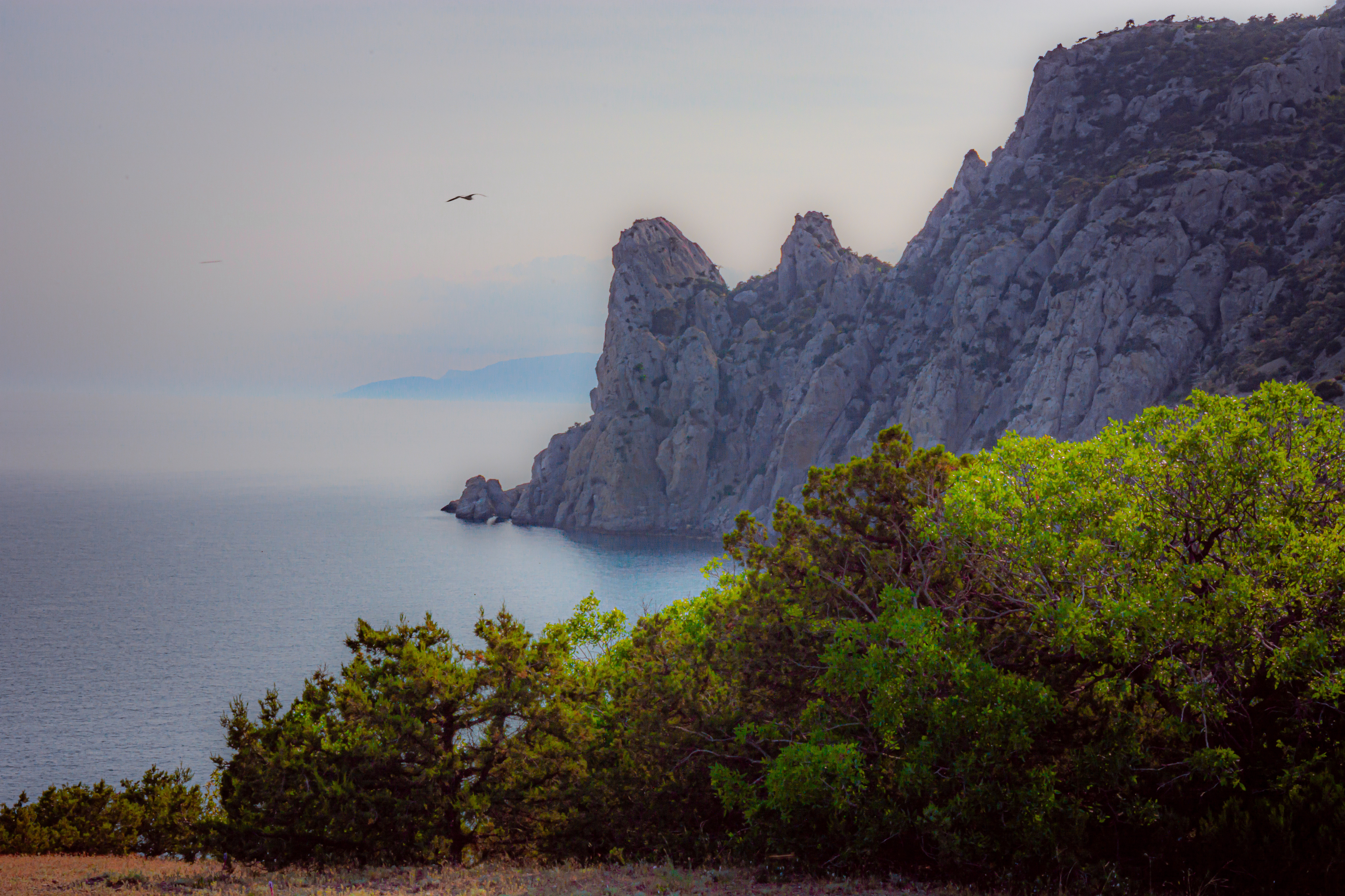 , Алексей Ильин