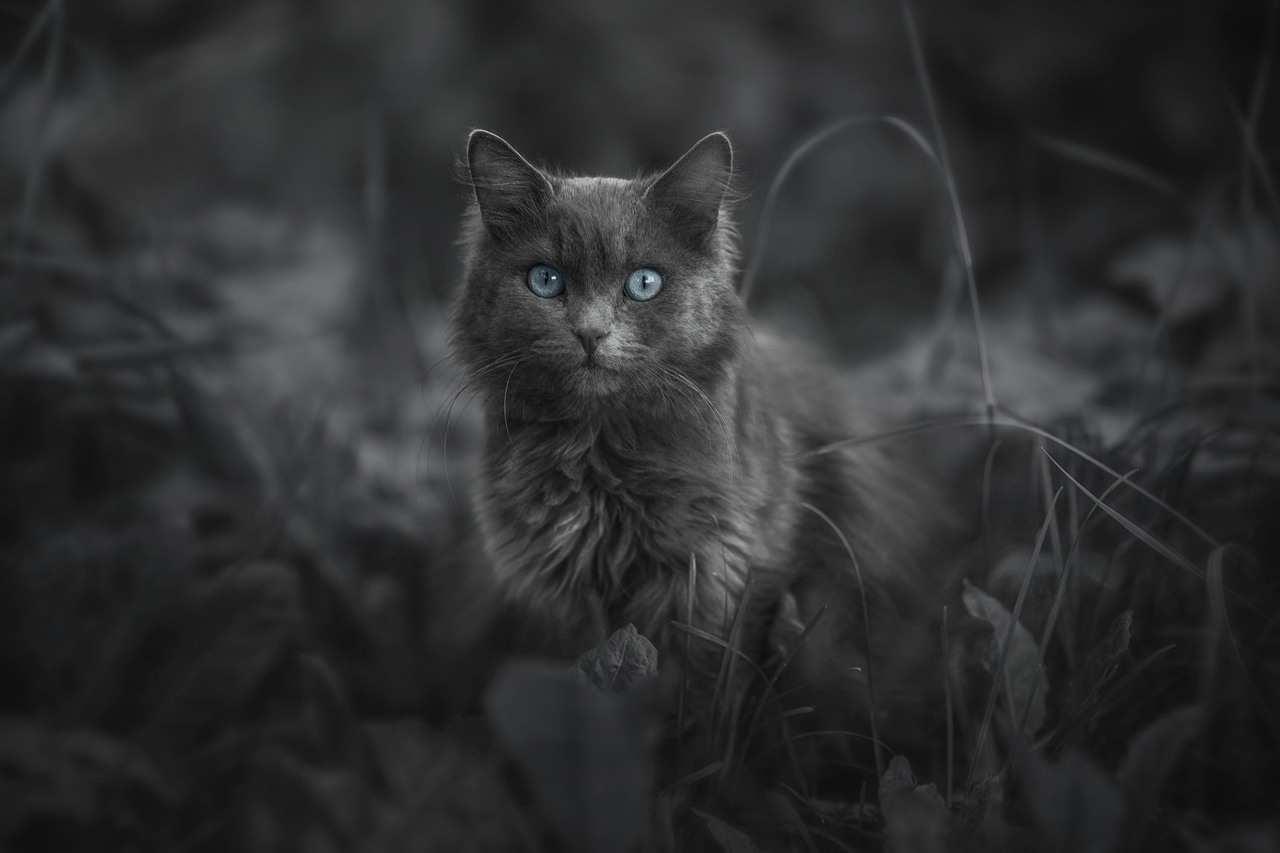 , Наталия Матвеева