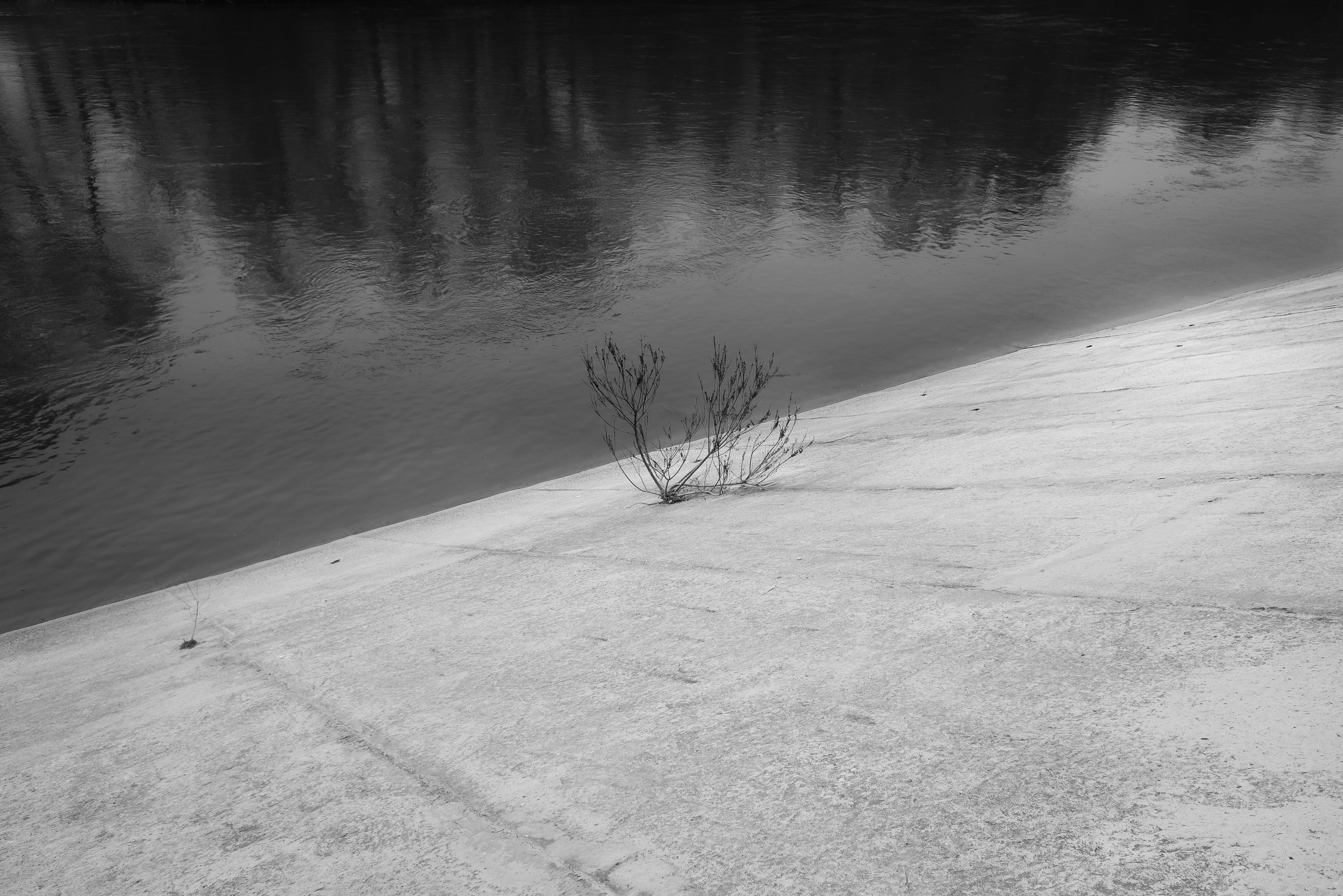 свет, тьма, жизнь, Зорин Миша