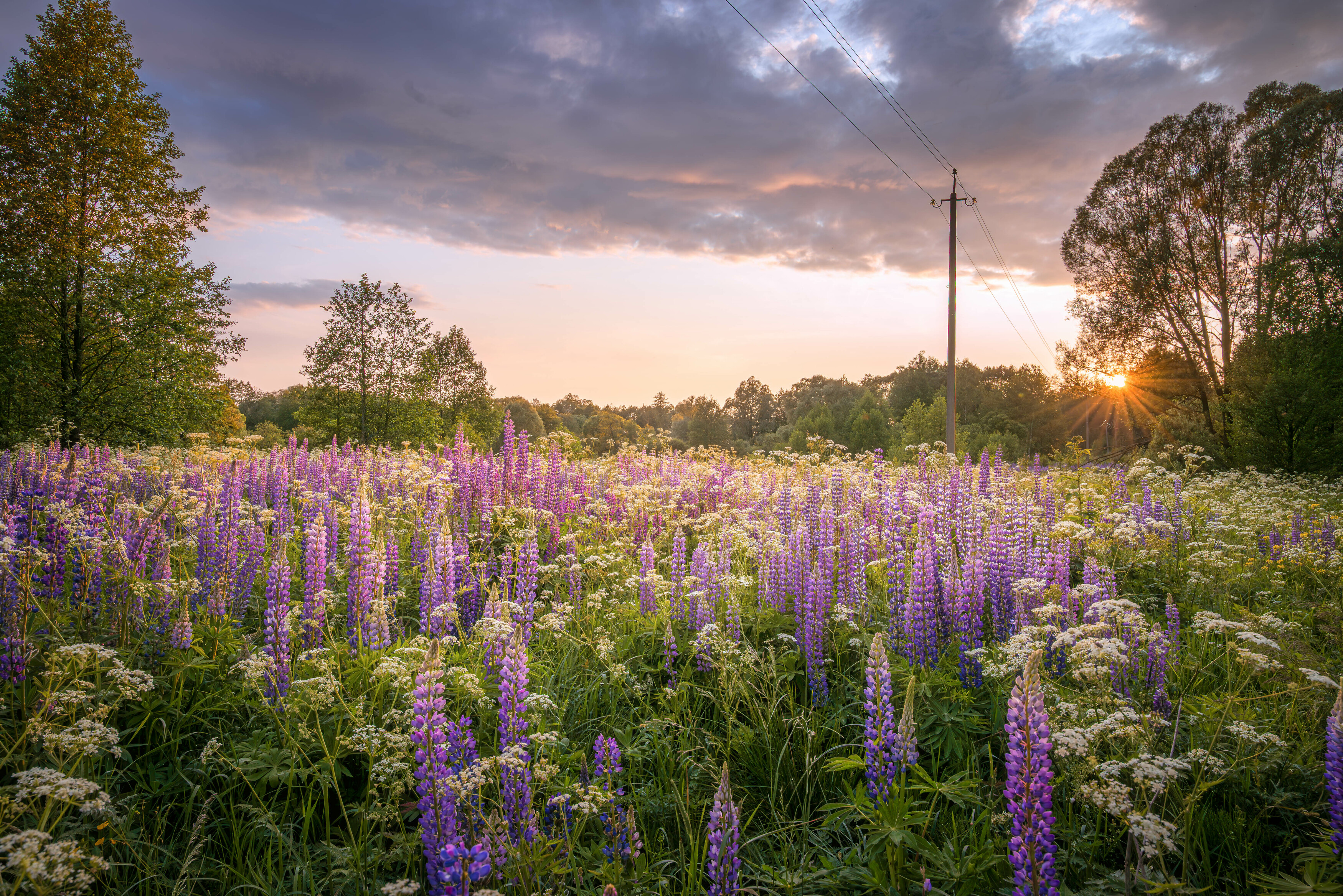 , Сережин Сережа
