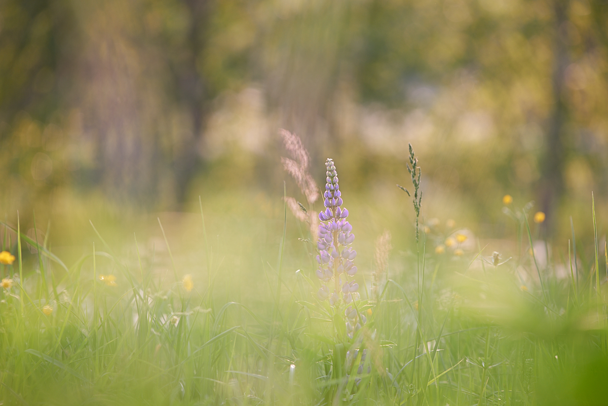 , Сергей Овчинников