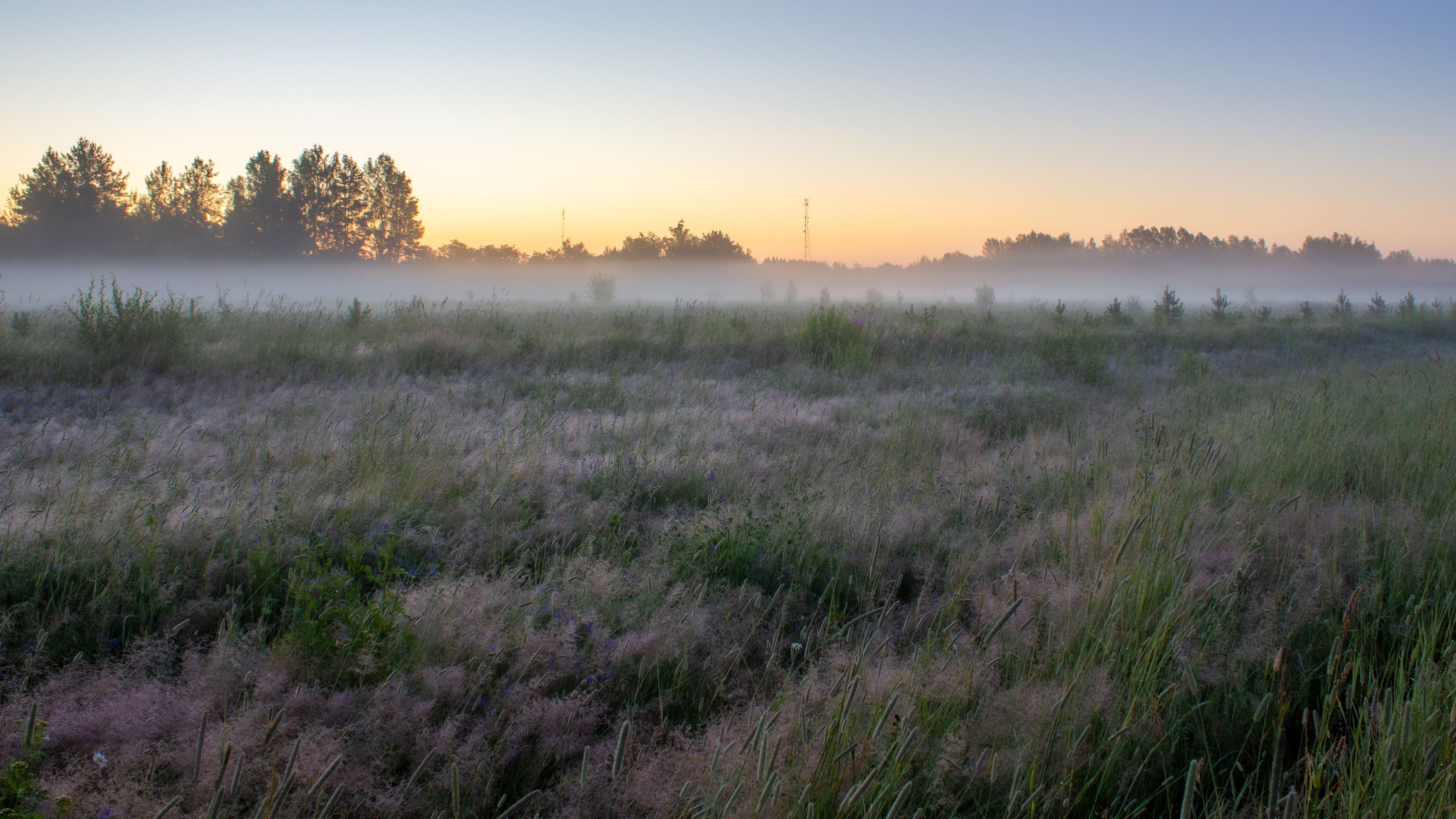 , Комарова Вера