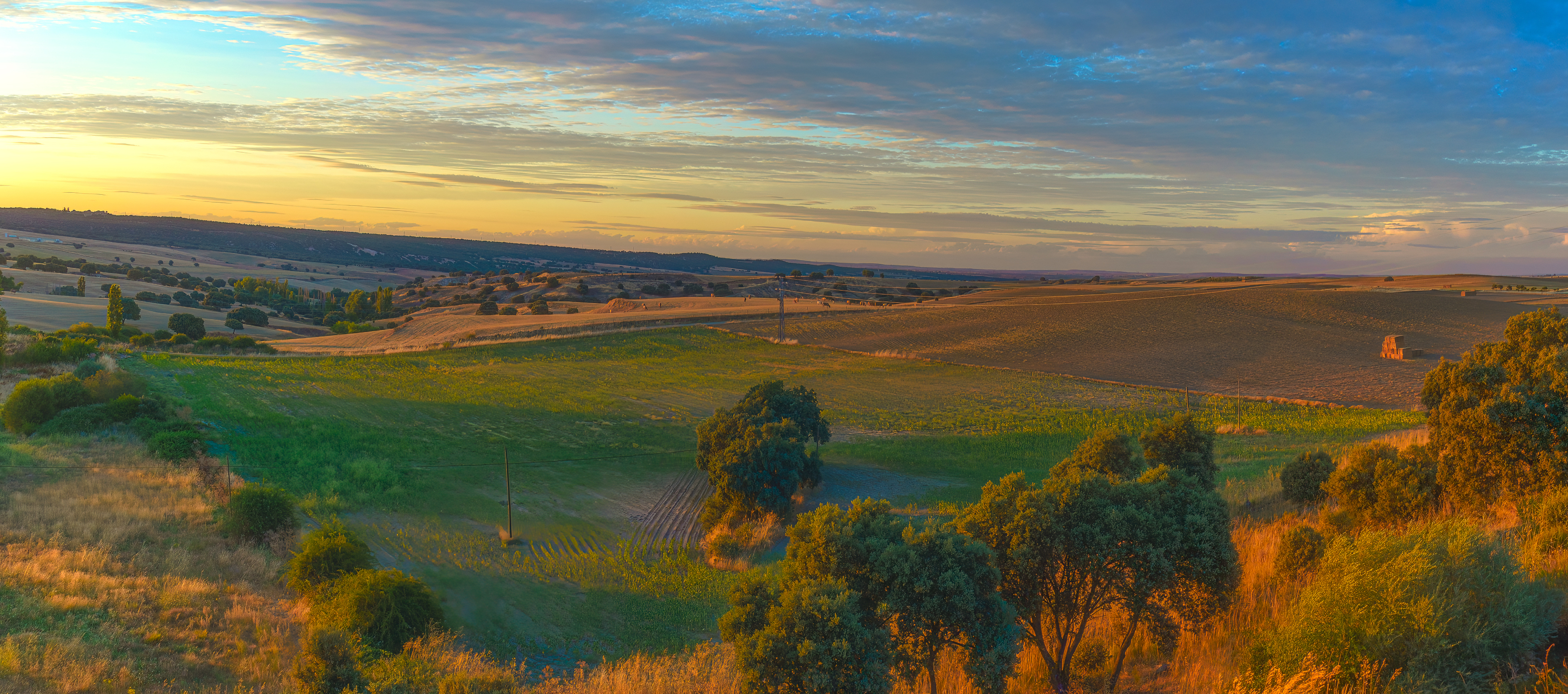 , Шварцман Евгений